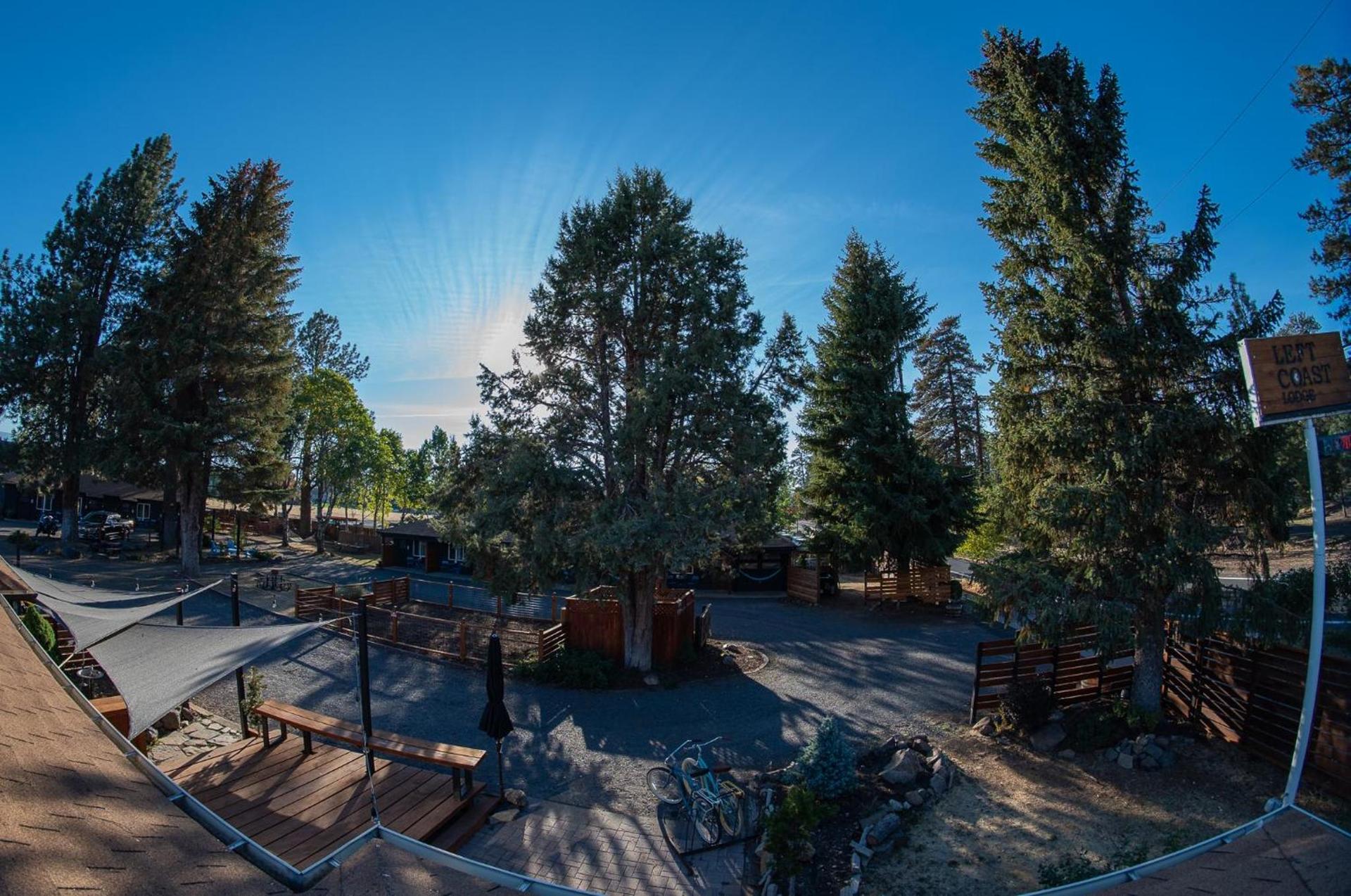 The Stranger Lodge - Pet Friendly photo 4
