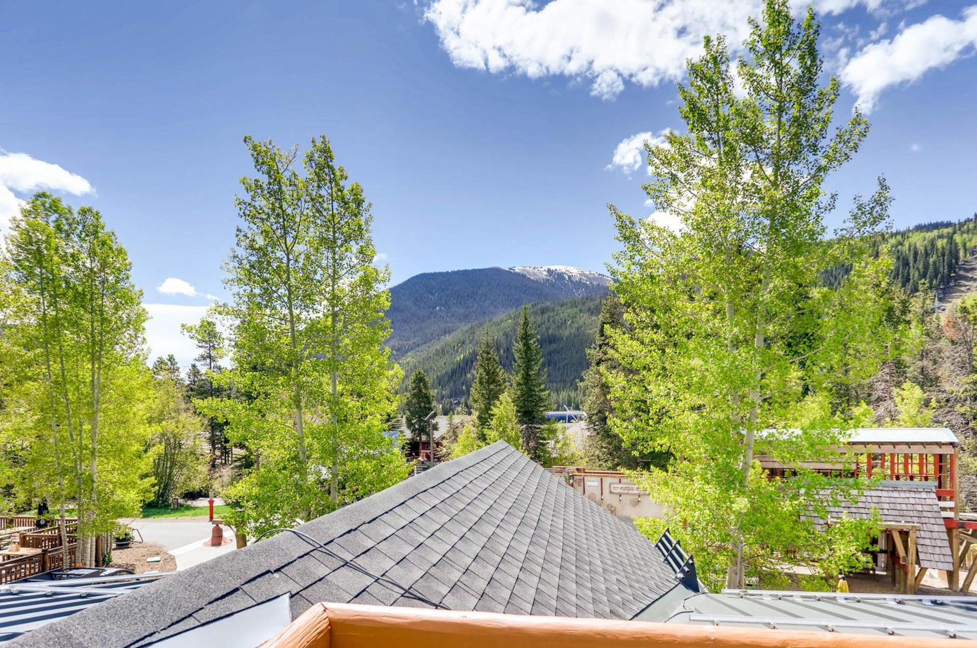 Jackpine & Black Bear Condos by Vail Resorts photo 14