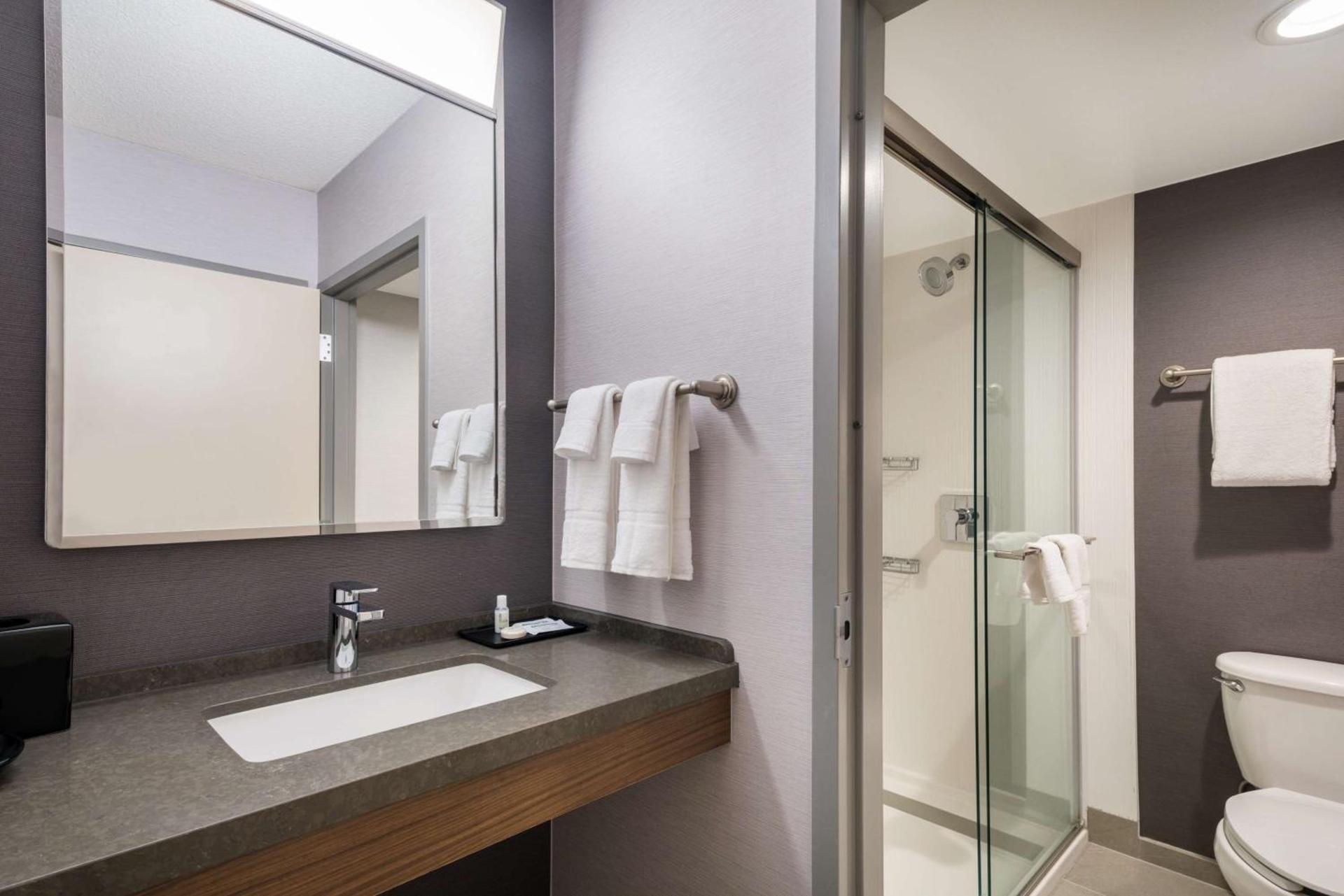 Sonesta Select San Jose Airport photo 22