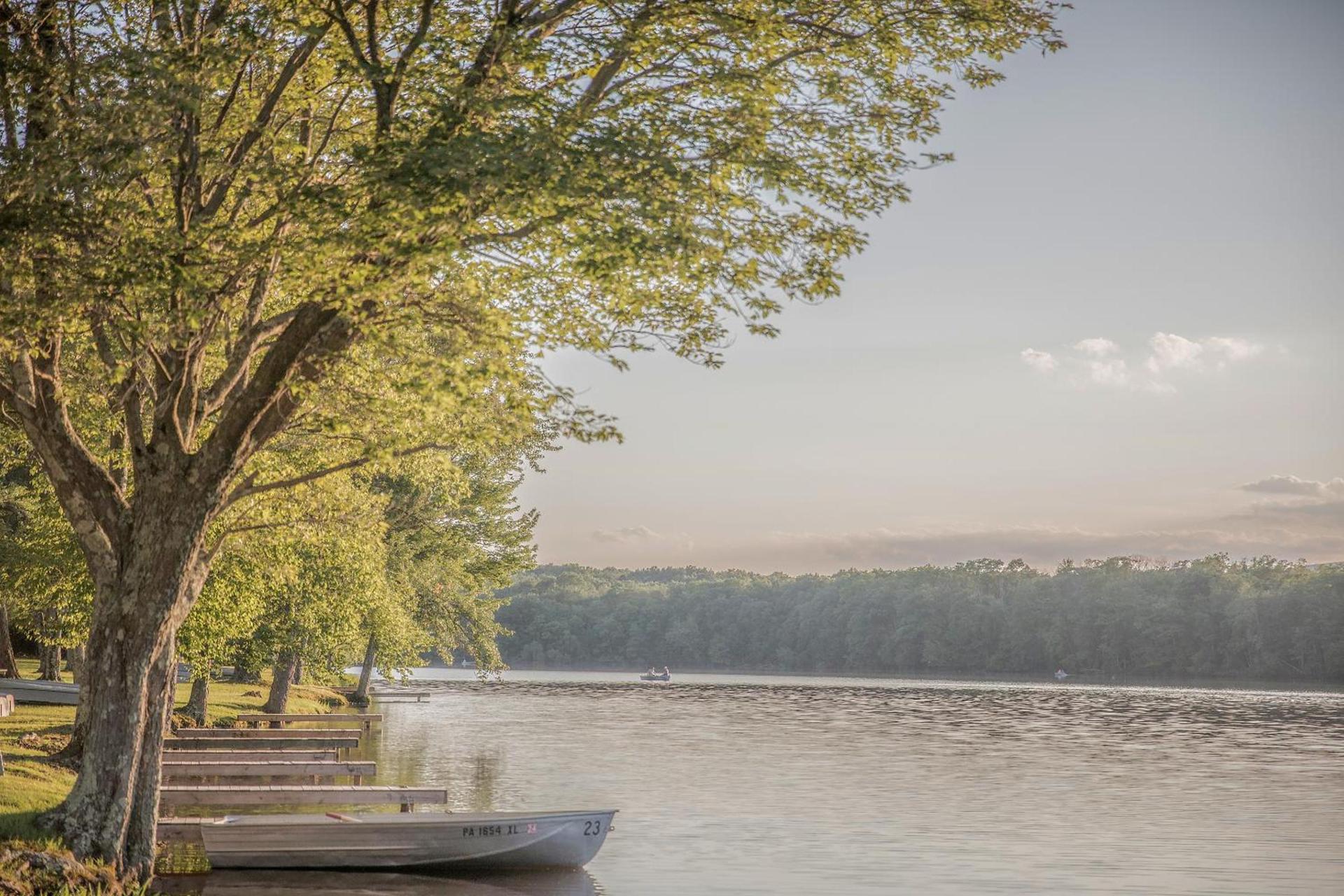 Mountain Springs Lake Resort photo 6