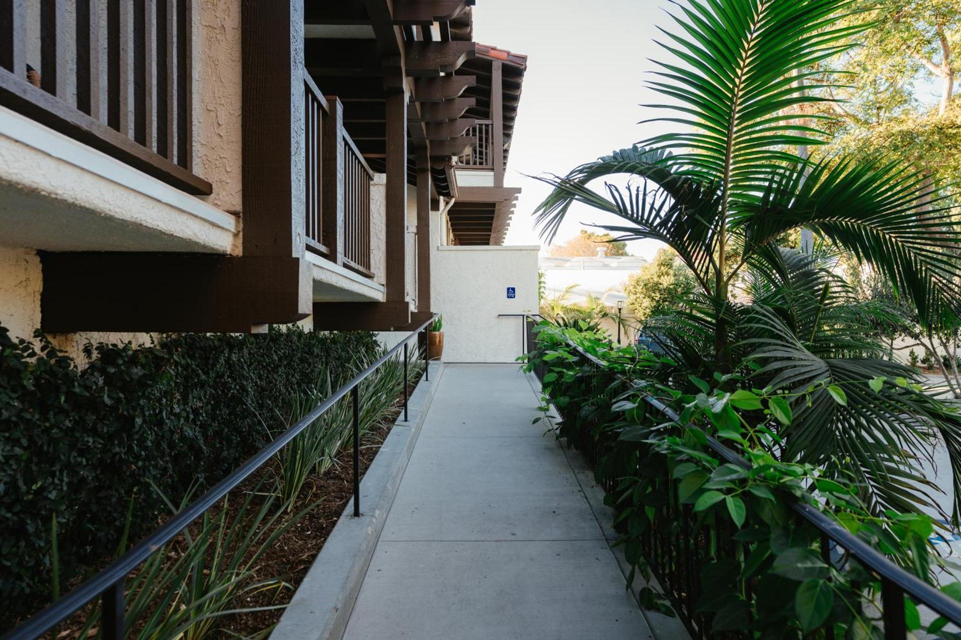 Palmoro House photo 3