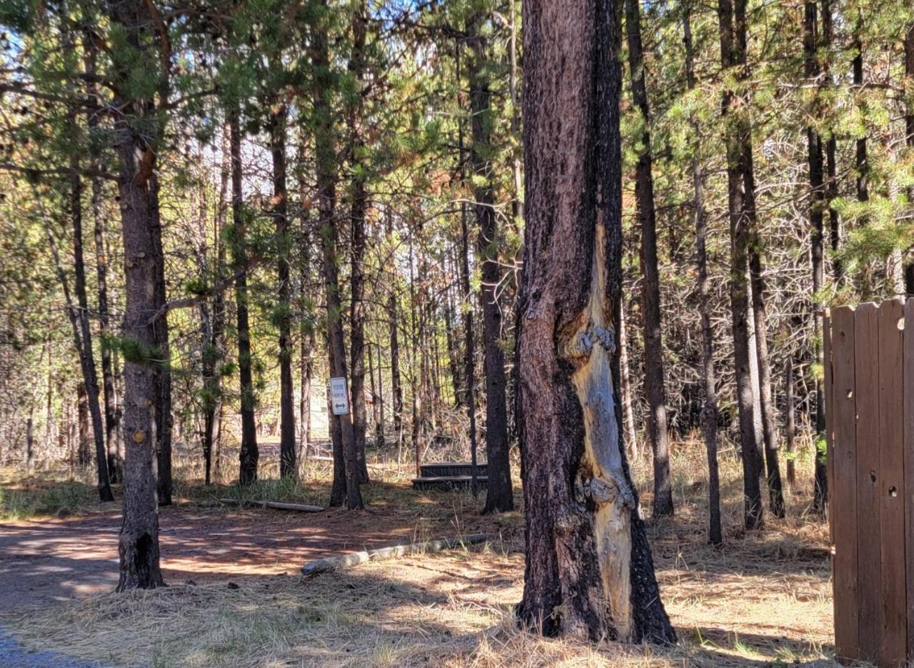 DiamondStone Guest Lodges photo 60