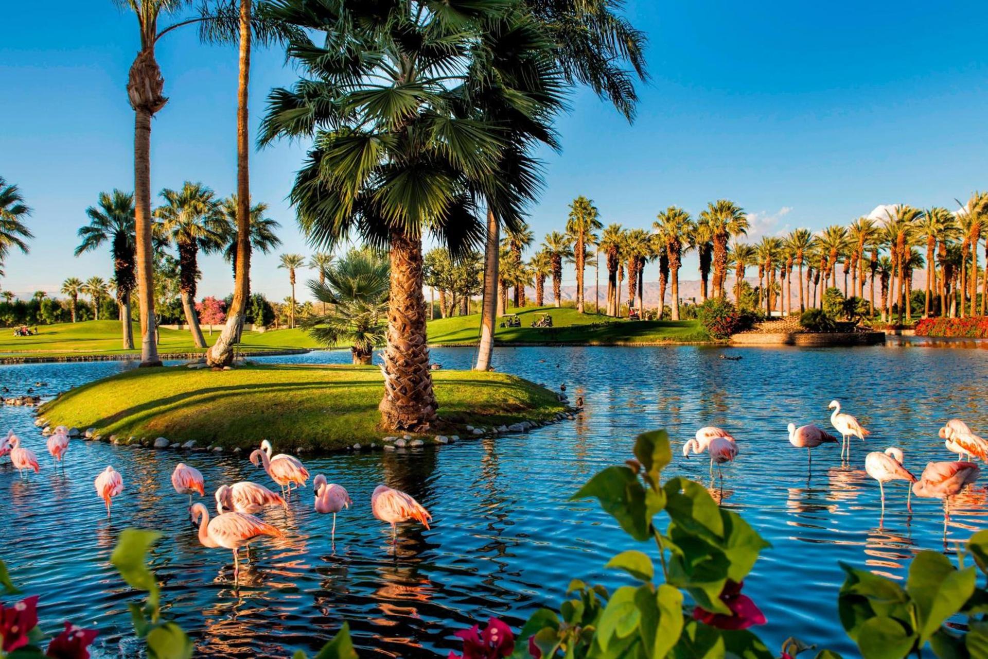 JW Marriott Desert Springs Resort & Spa photo 16