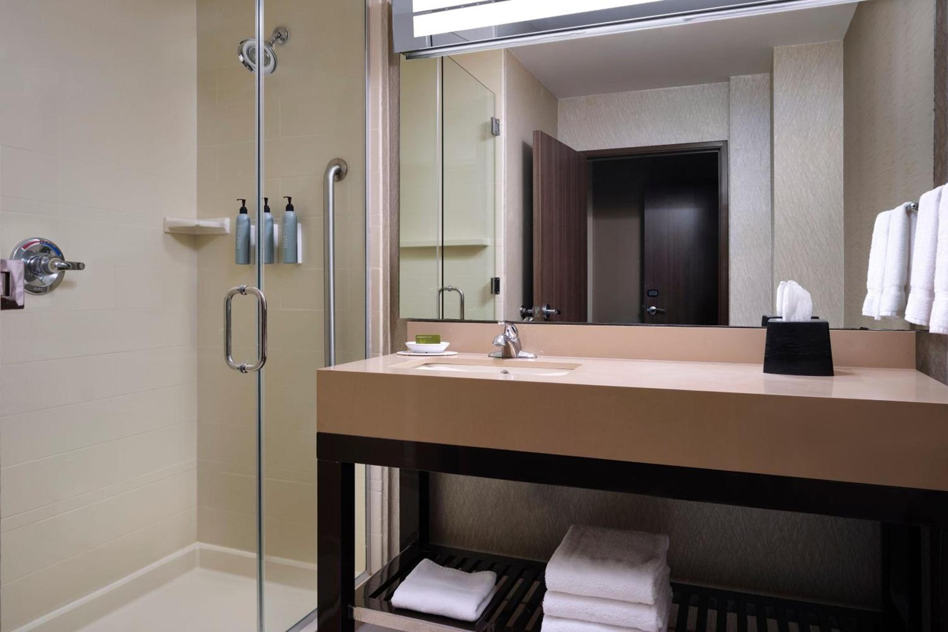 Courtyard by Marriott Dallas DFW Airport North/Grapevine photo 8