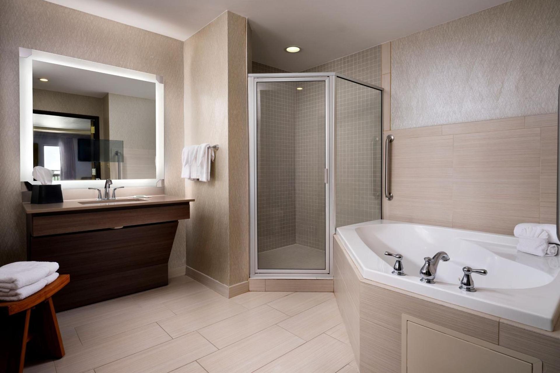Courtyard by Marriott Dallas DFW Airport North/Grapevine photo 16