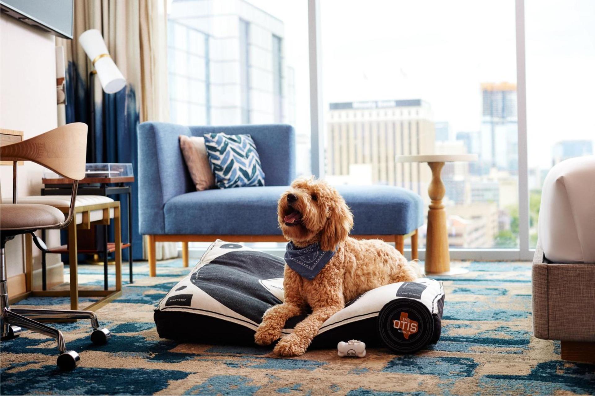 The Otis Hotel Austin, Autograph Collection photo 37