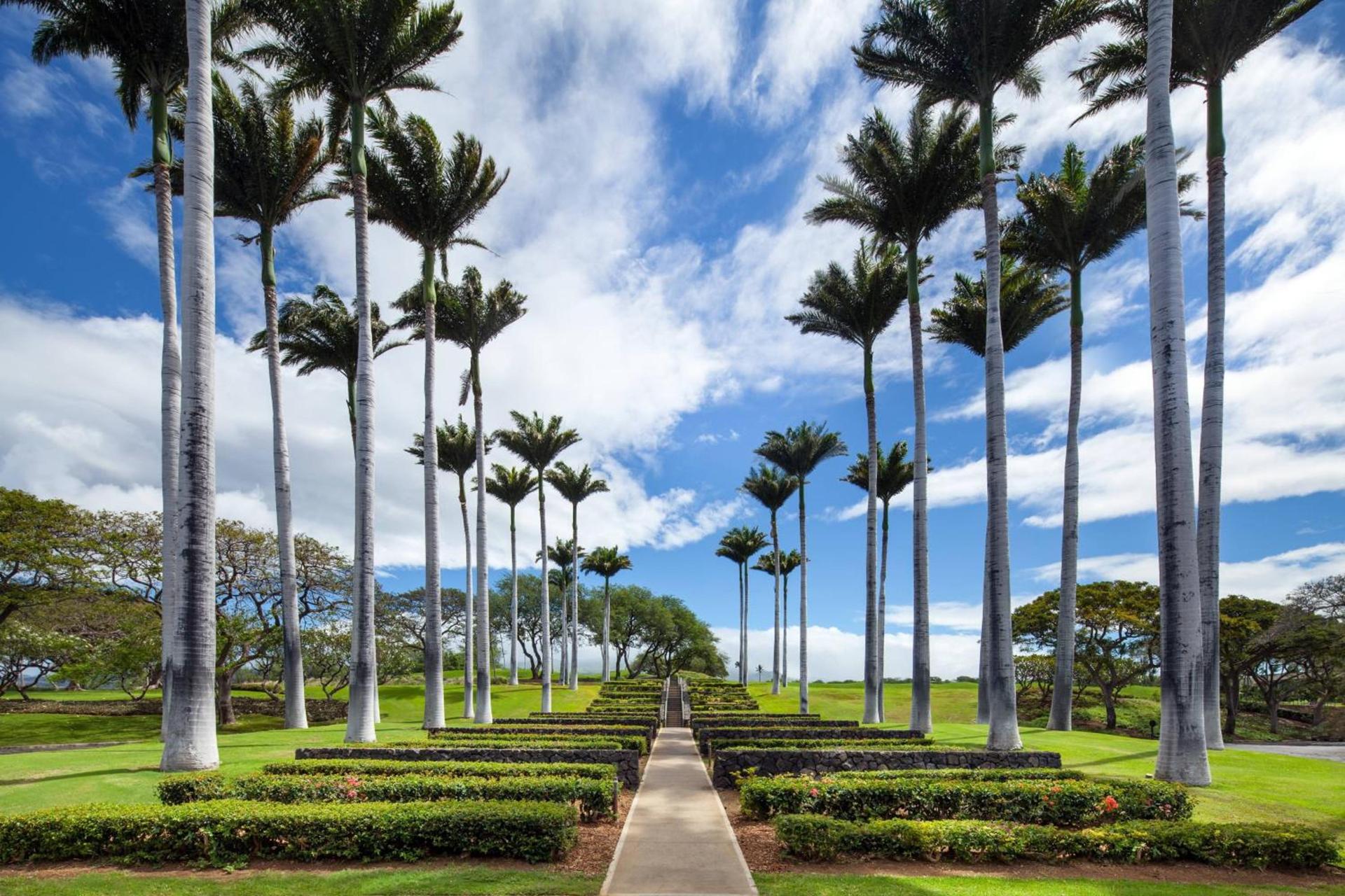 The Westin Hapuna Beach Resort photo 15