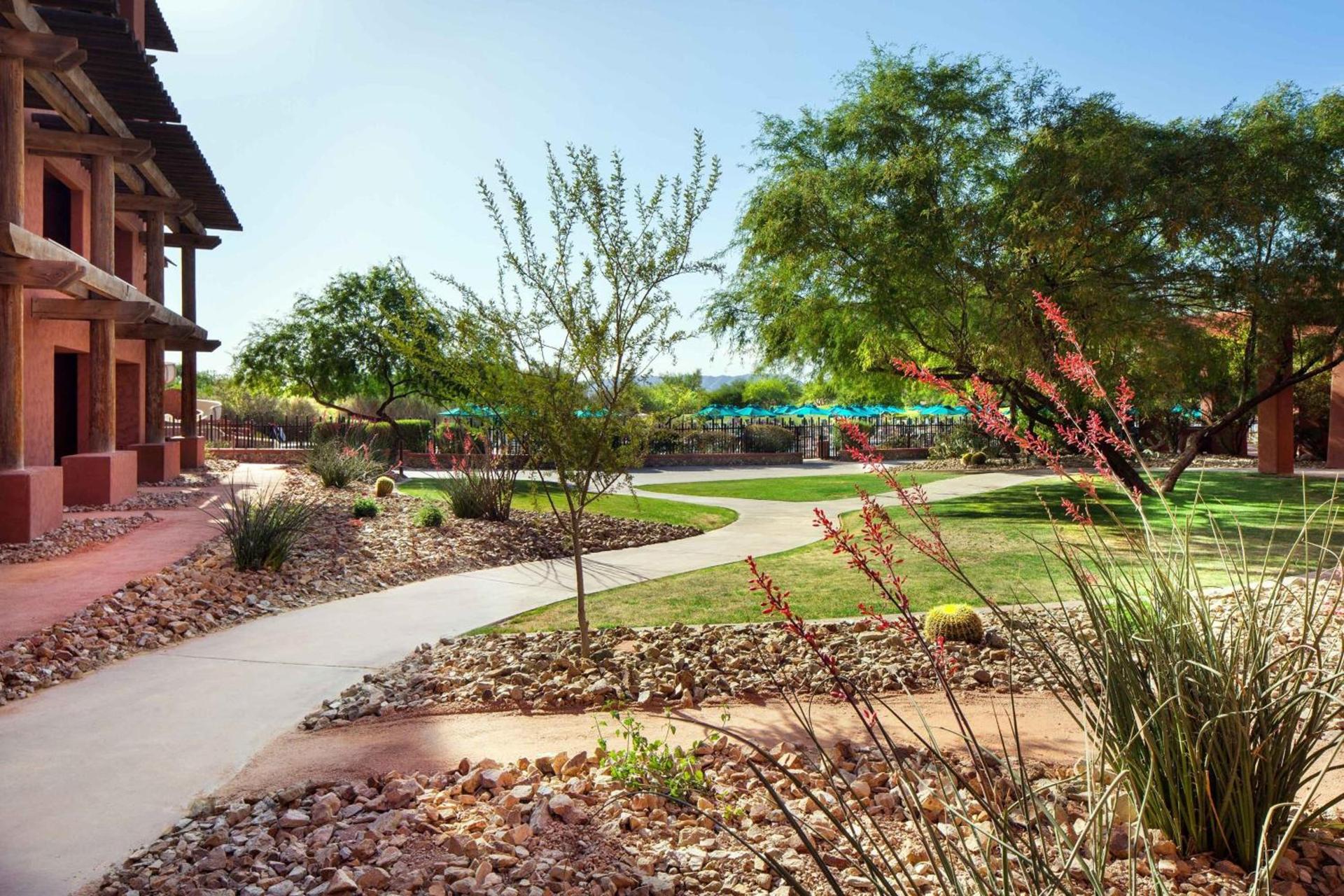 Sheraton Grand at Wild Horse Pass photo 20