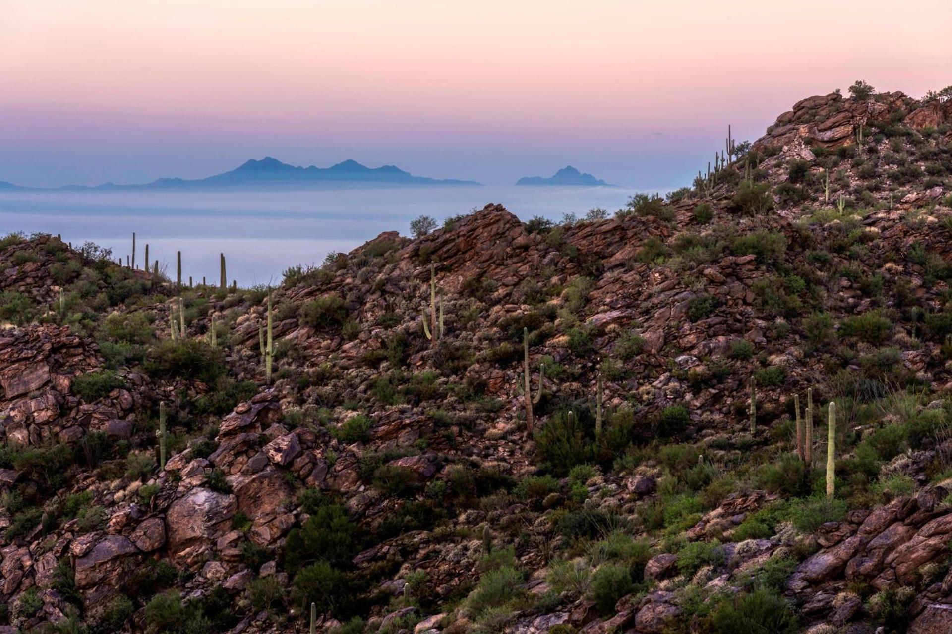 The Ritz-Carlton, Dove Mountain photo 8