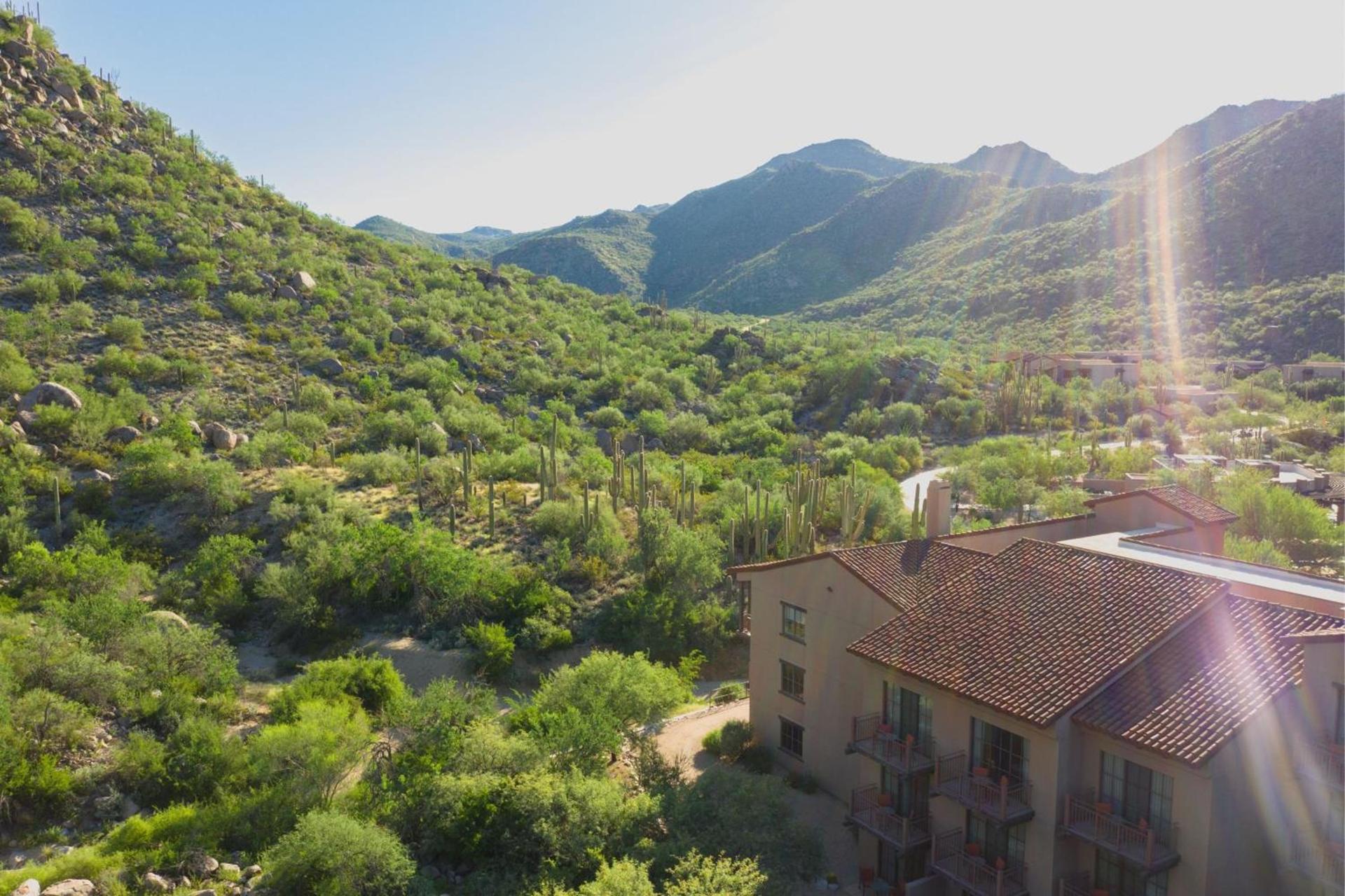 The Ritz-Carlton, Dove Mountain photo 49