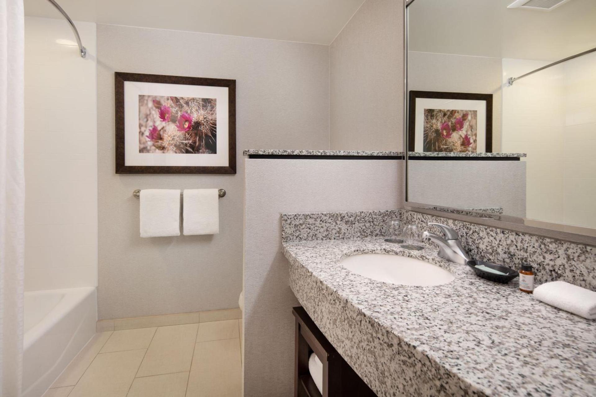 Courtyard by Marriott Scottsdale Salt River photo 22