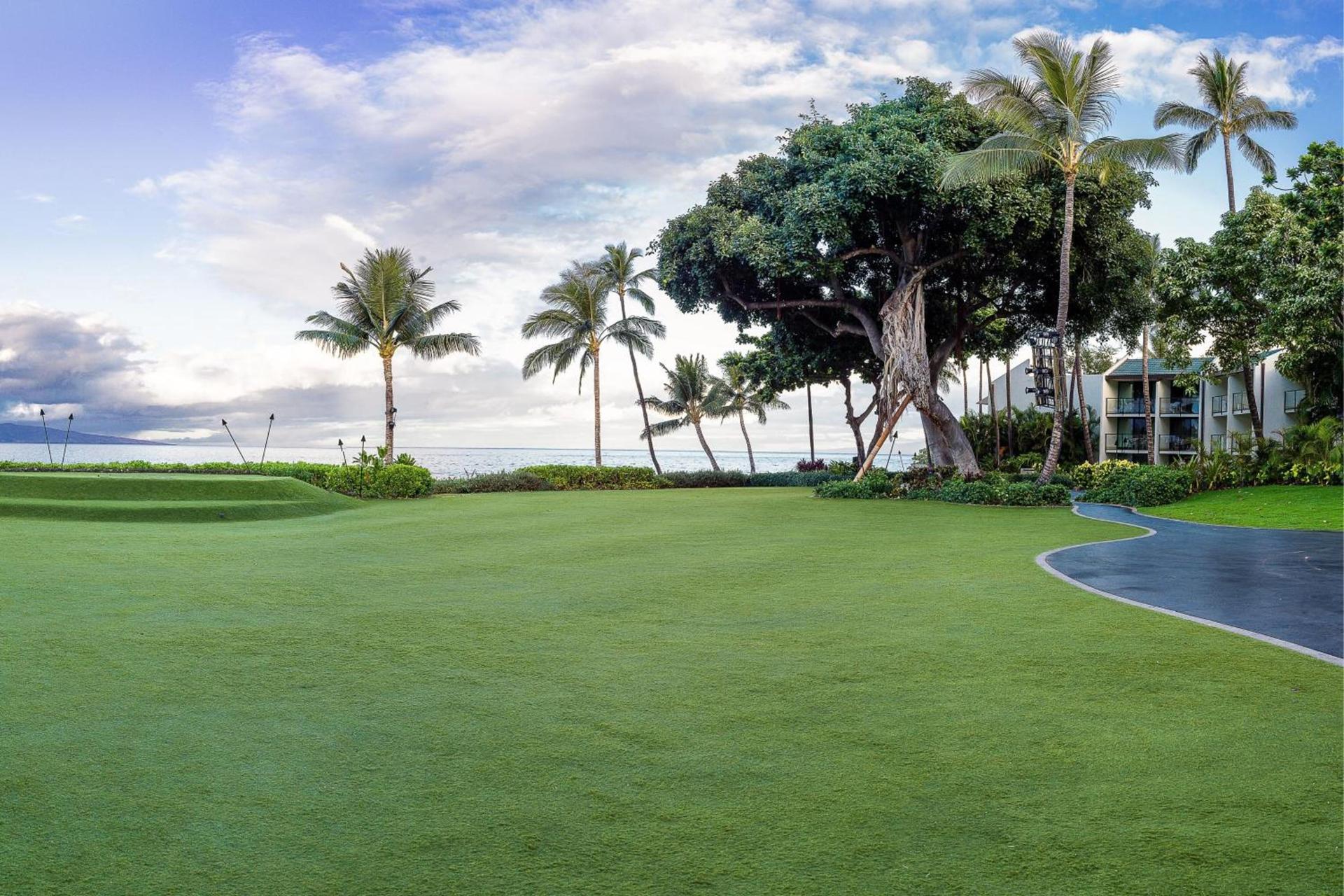 Wailea Beach Resort - Marriott, Maui photo 12