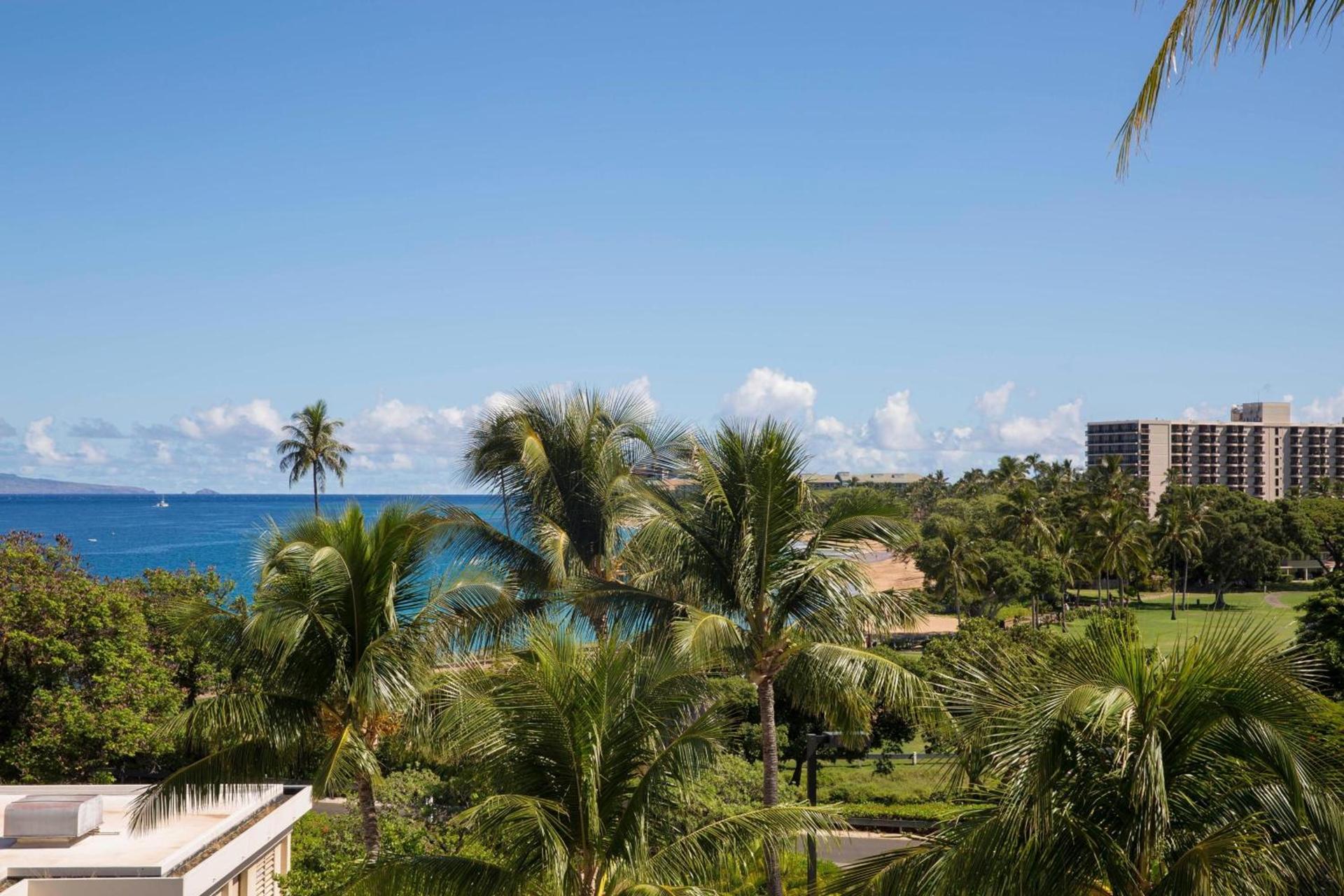 Sheraton Maui Resort & Spa photo 29