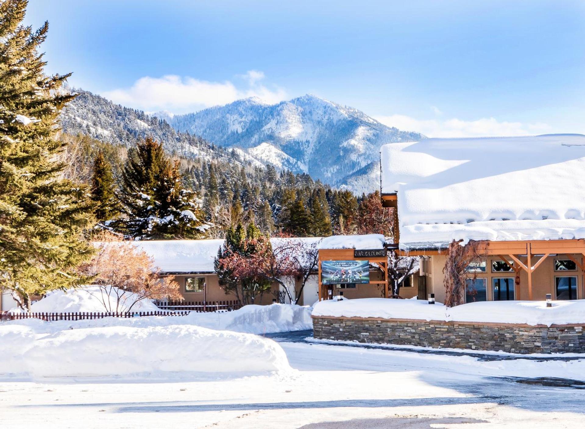 Flying Saddle Resort and Steak House photo 3