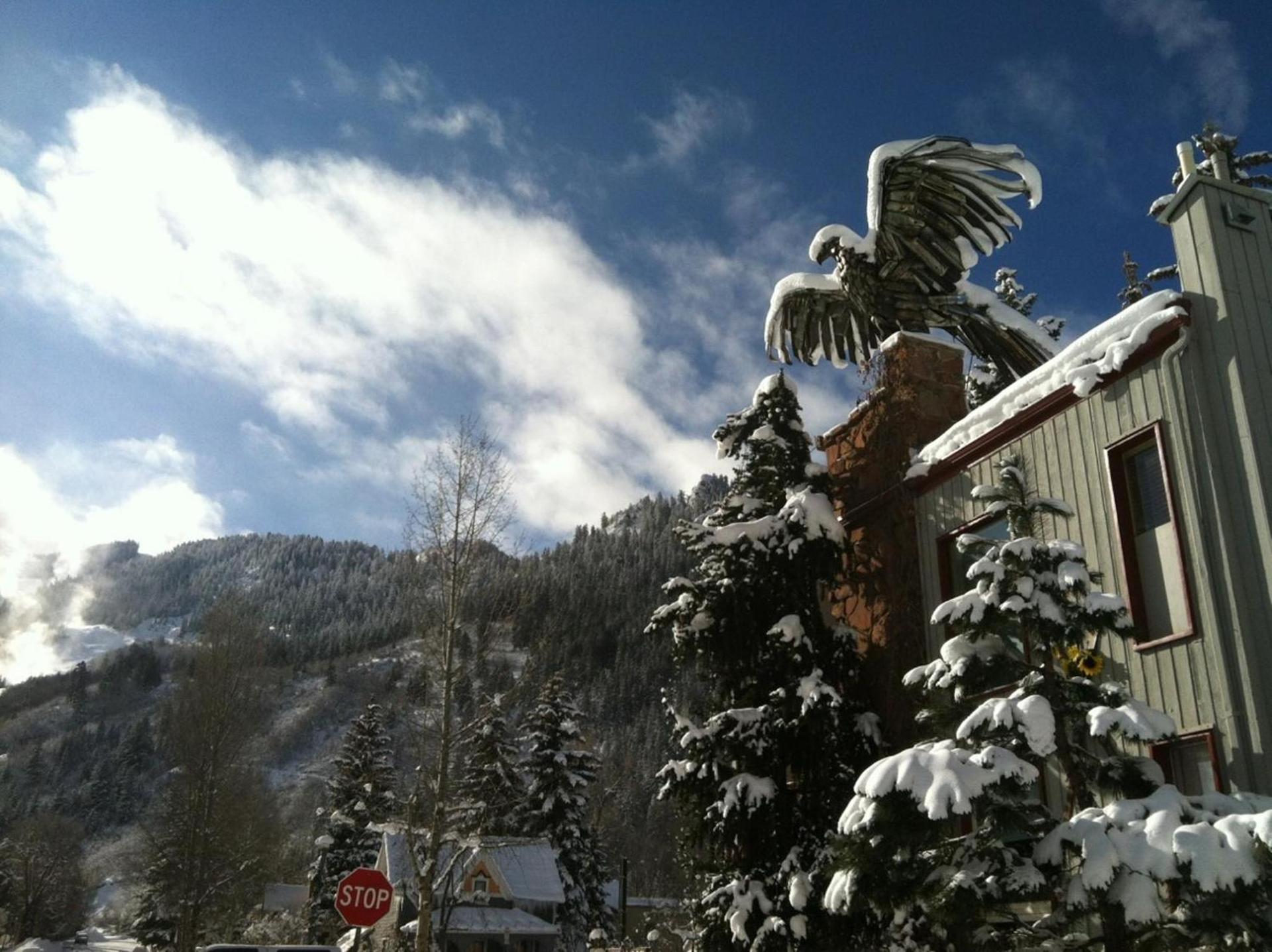 Tyrolean Lodge photo 4