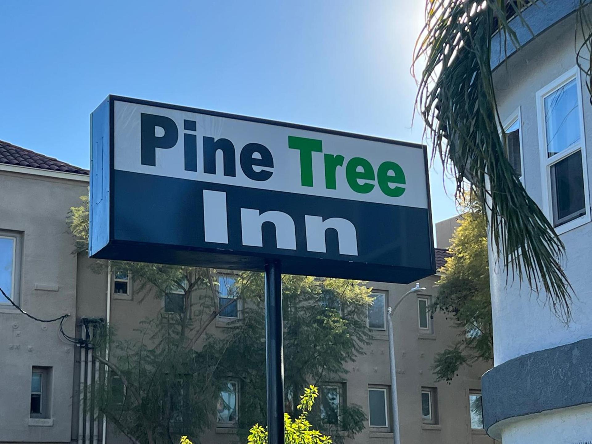Pine tree inn photo 2
