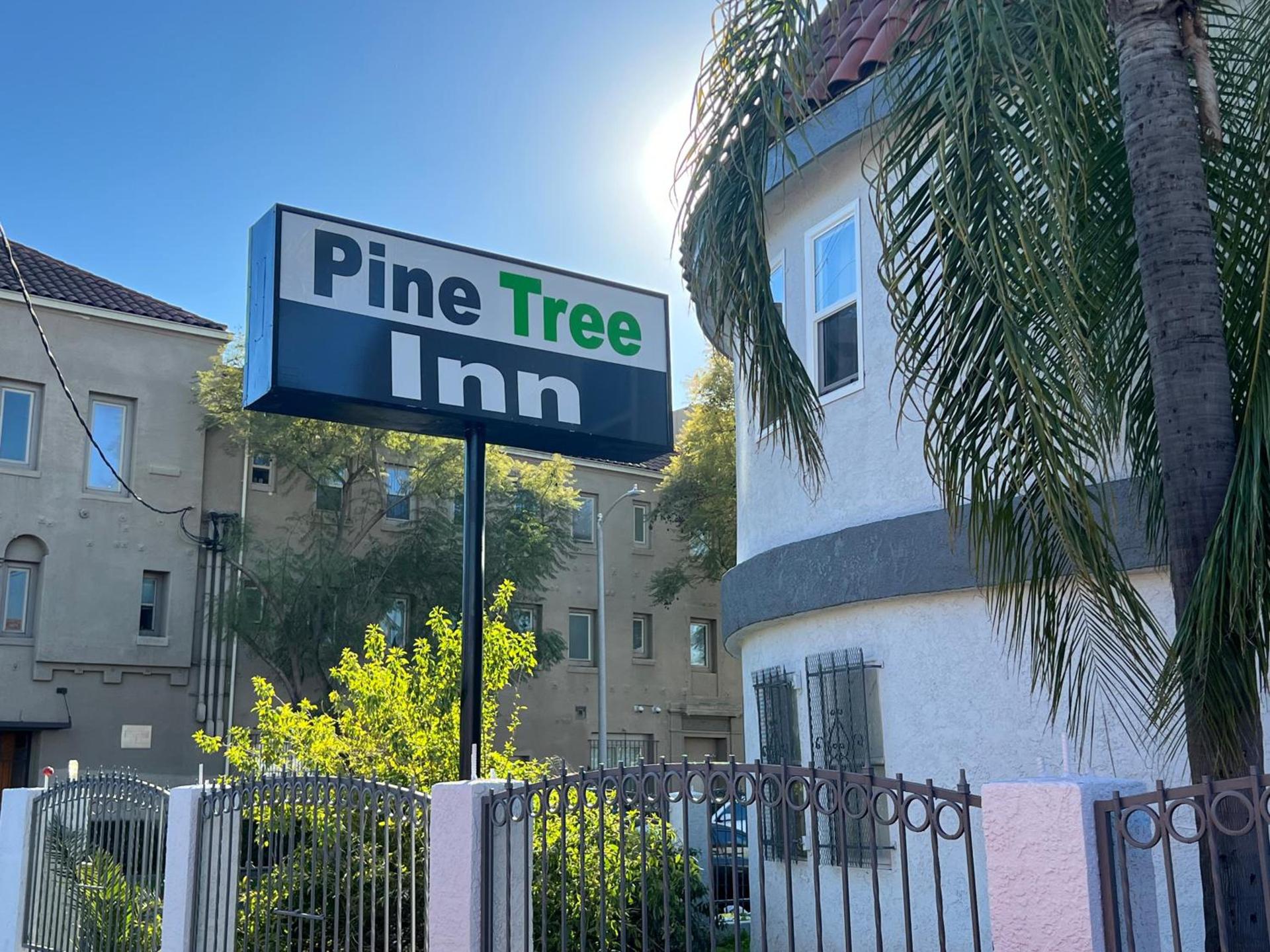 Pine tree inn photo 12