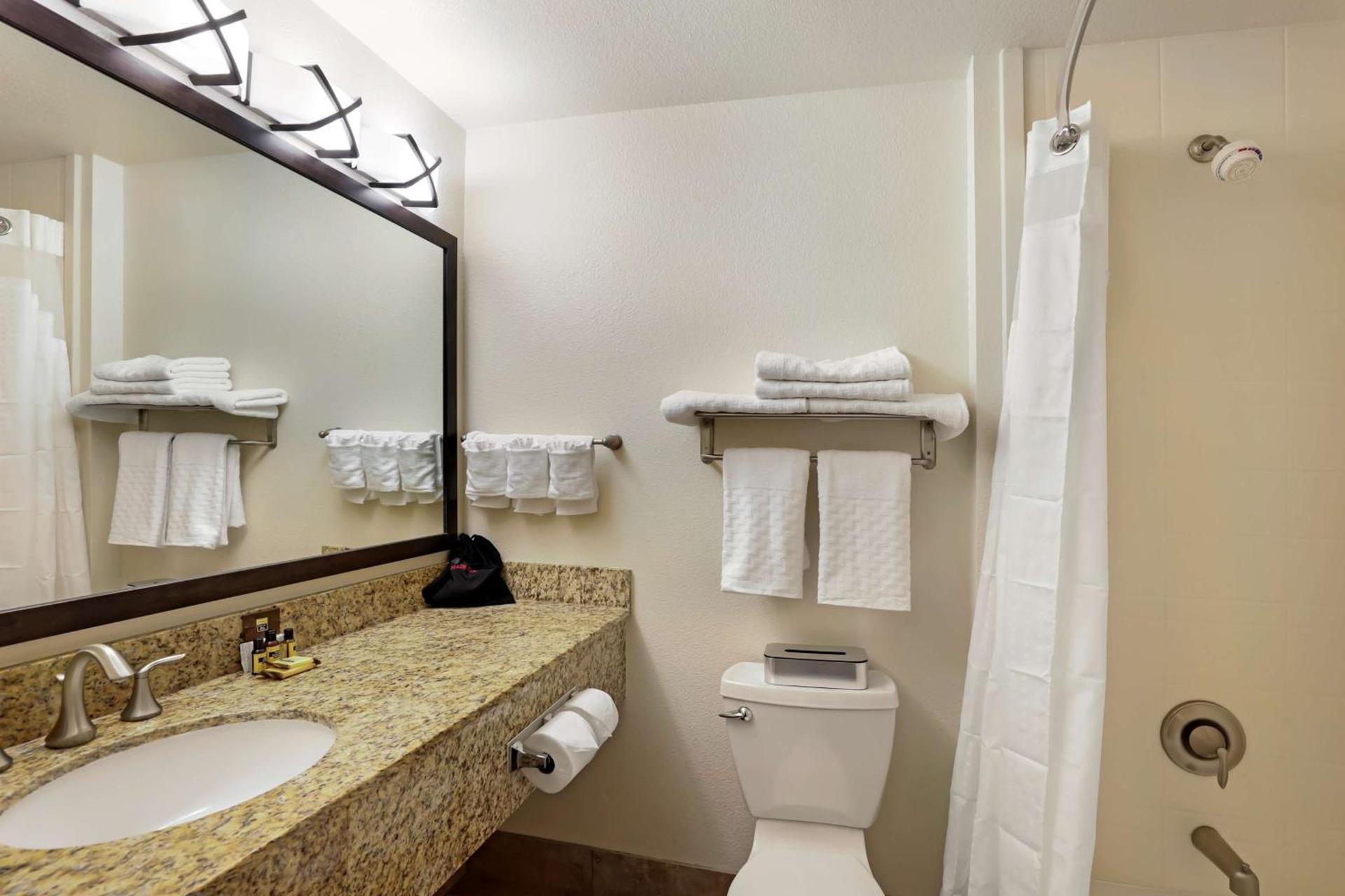 Best Western Plus Castle Rock photo 18