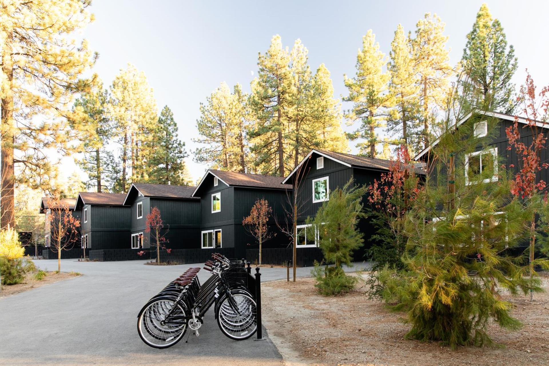 NP Boutique Lodge photo 3