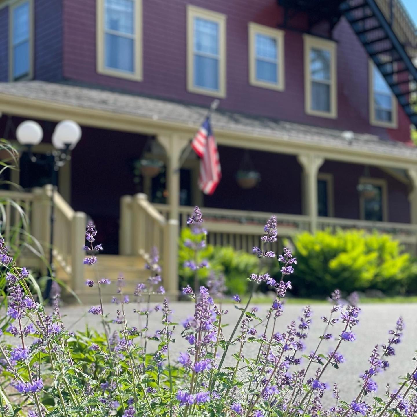 Central House Inn photo 4