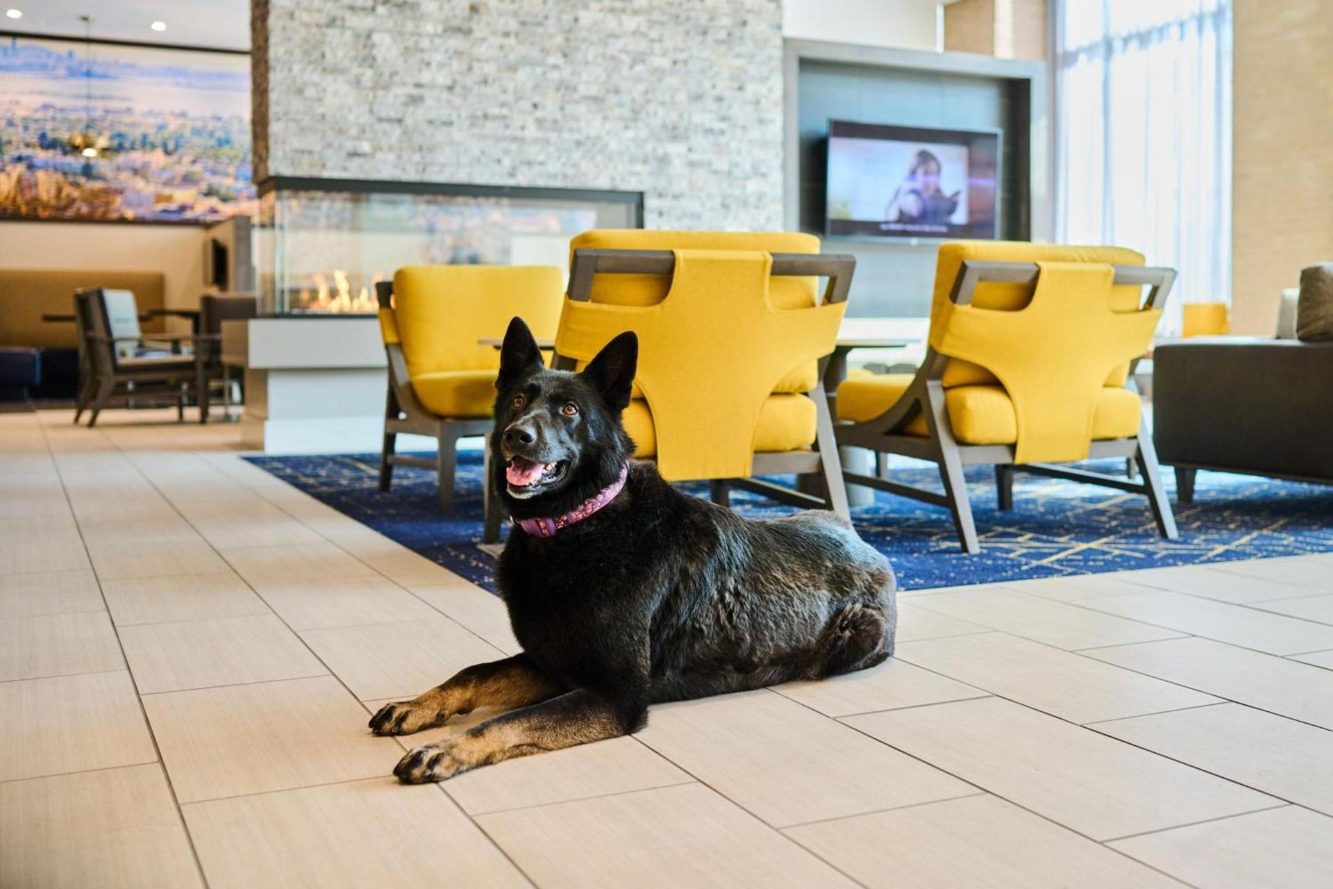 Residence Inn By Marriott Berkeley photo 81