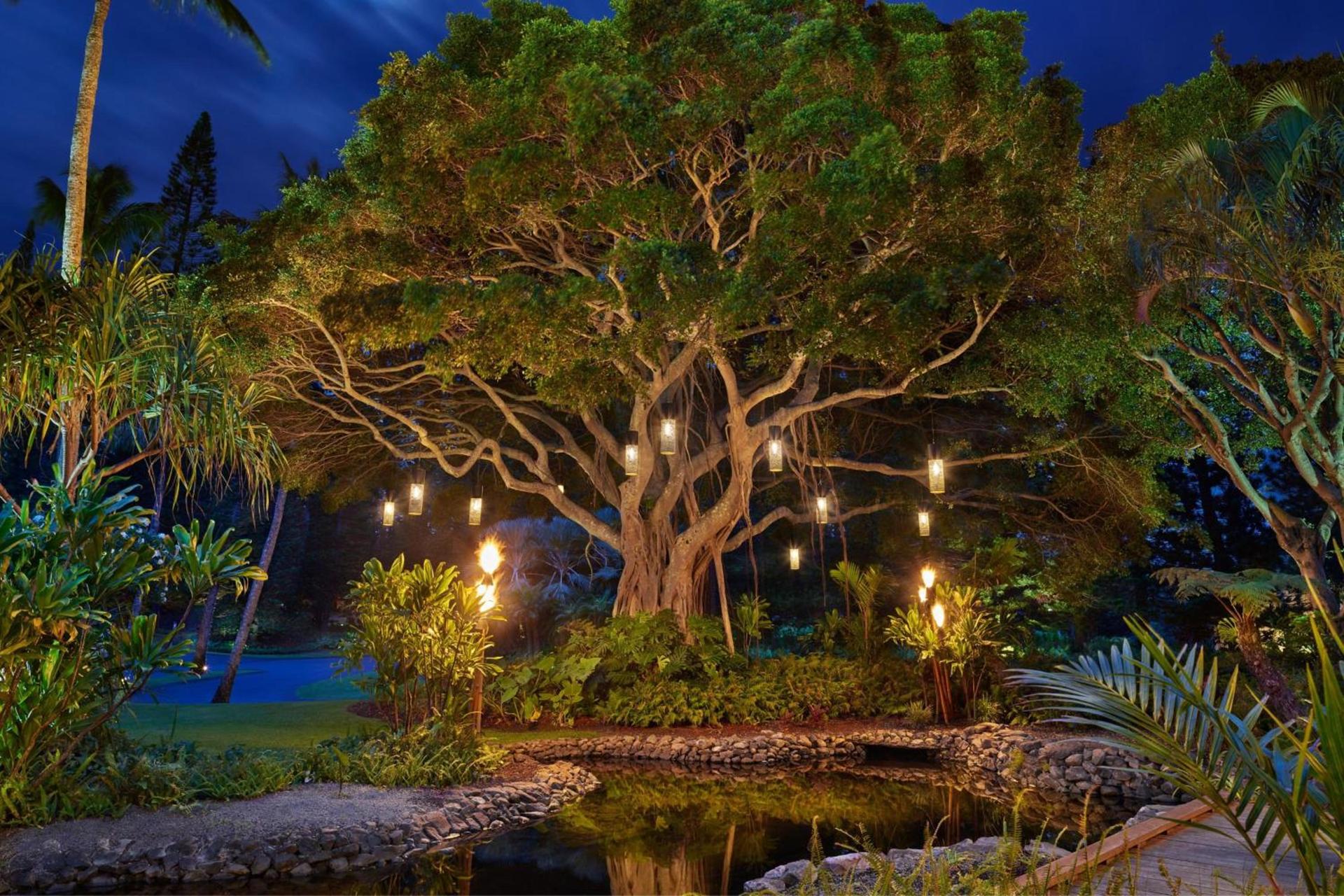 The Ritz-Carlton Maui, Kapalua photo 29