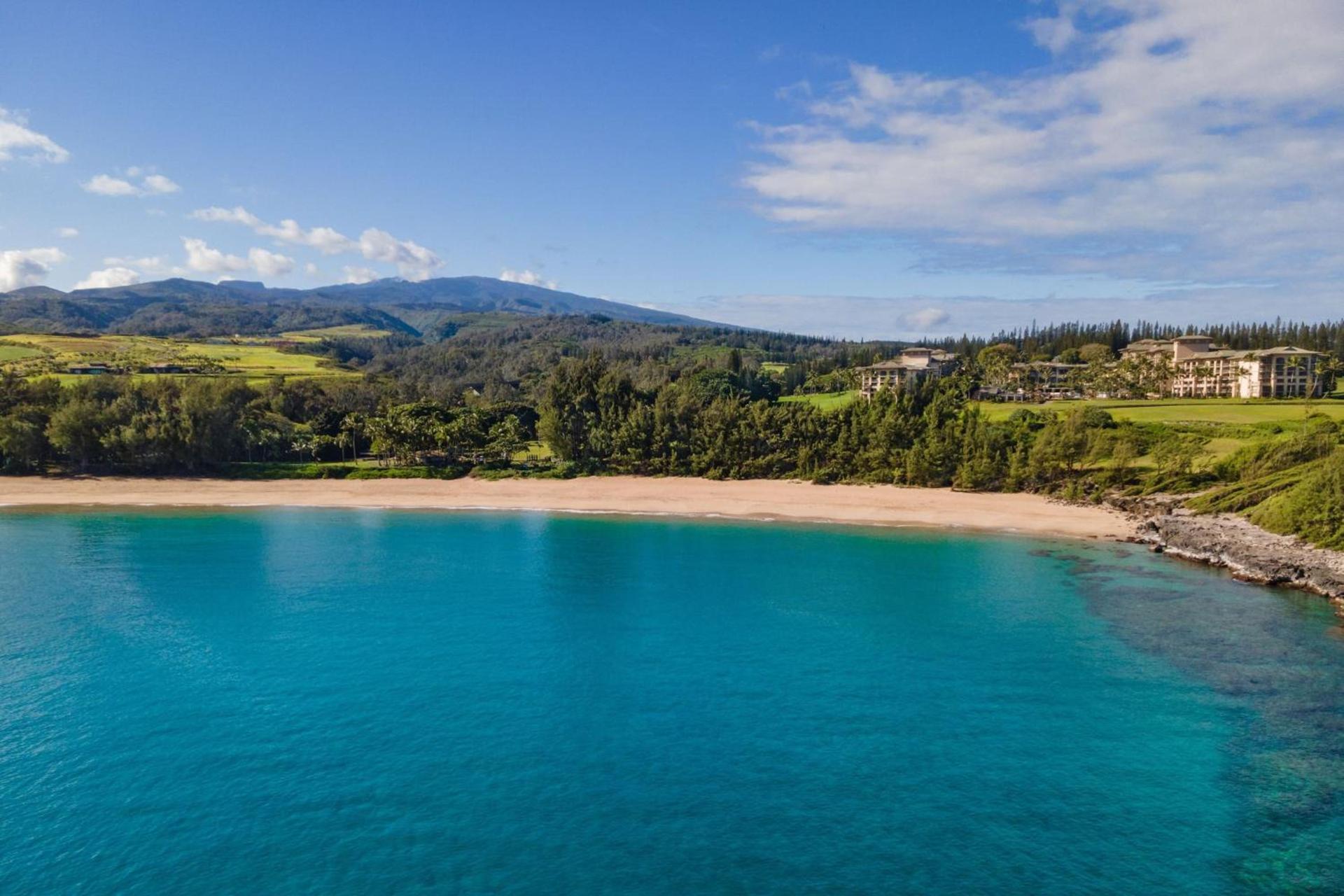 The Ritz-Carlton Maui, Kapalua photo 12