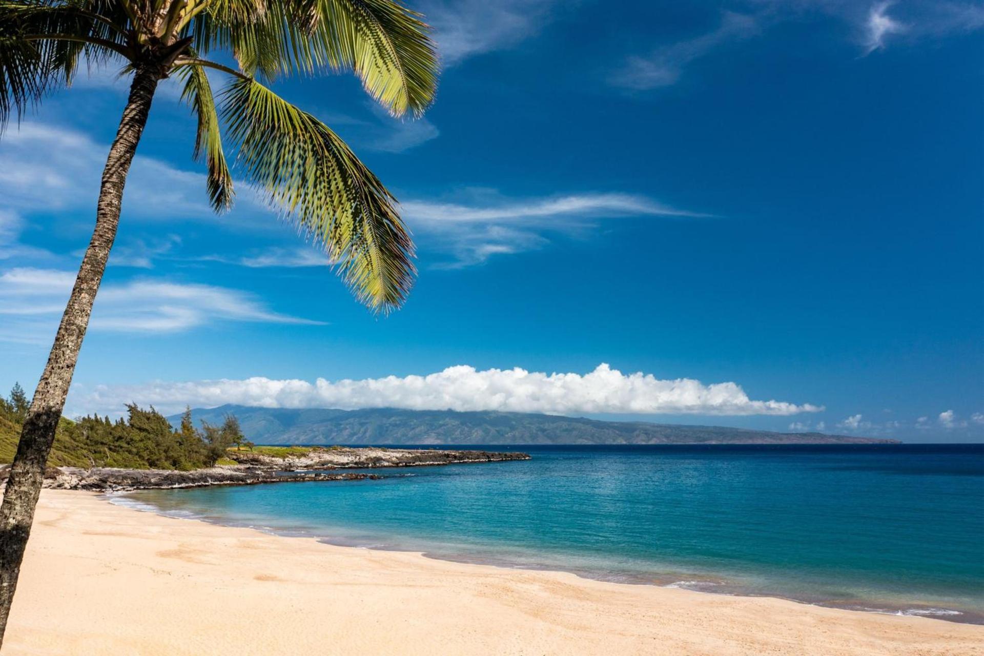 The Ritz-Carlton Maui, Kapalua photo 15
