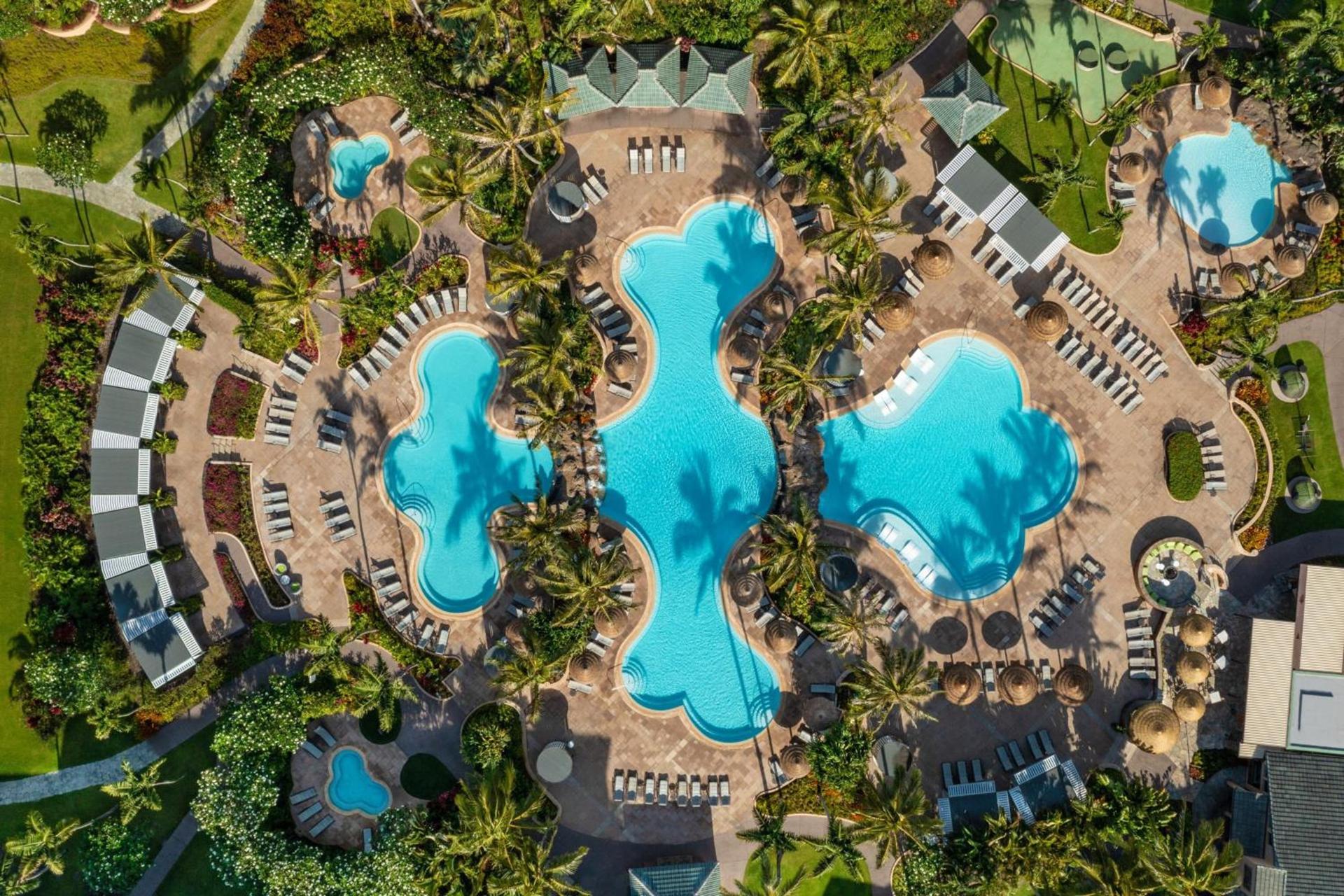 The Ritz-Carlton Maui, Kapalua photo 14