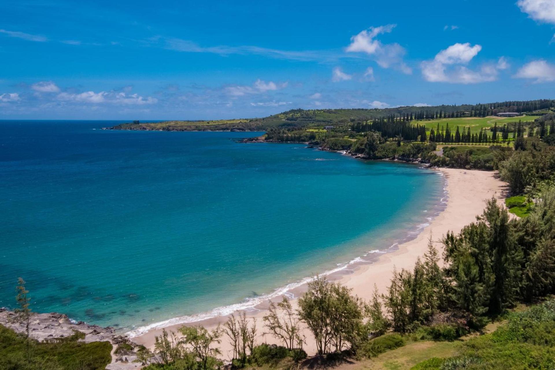 The Ritz-Carlton Maui, Kapalua photo 16