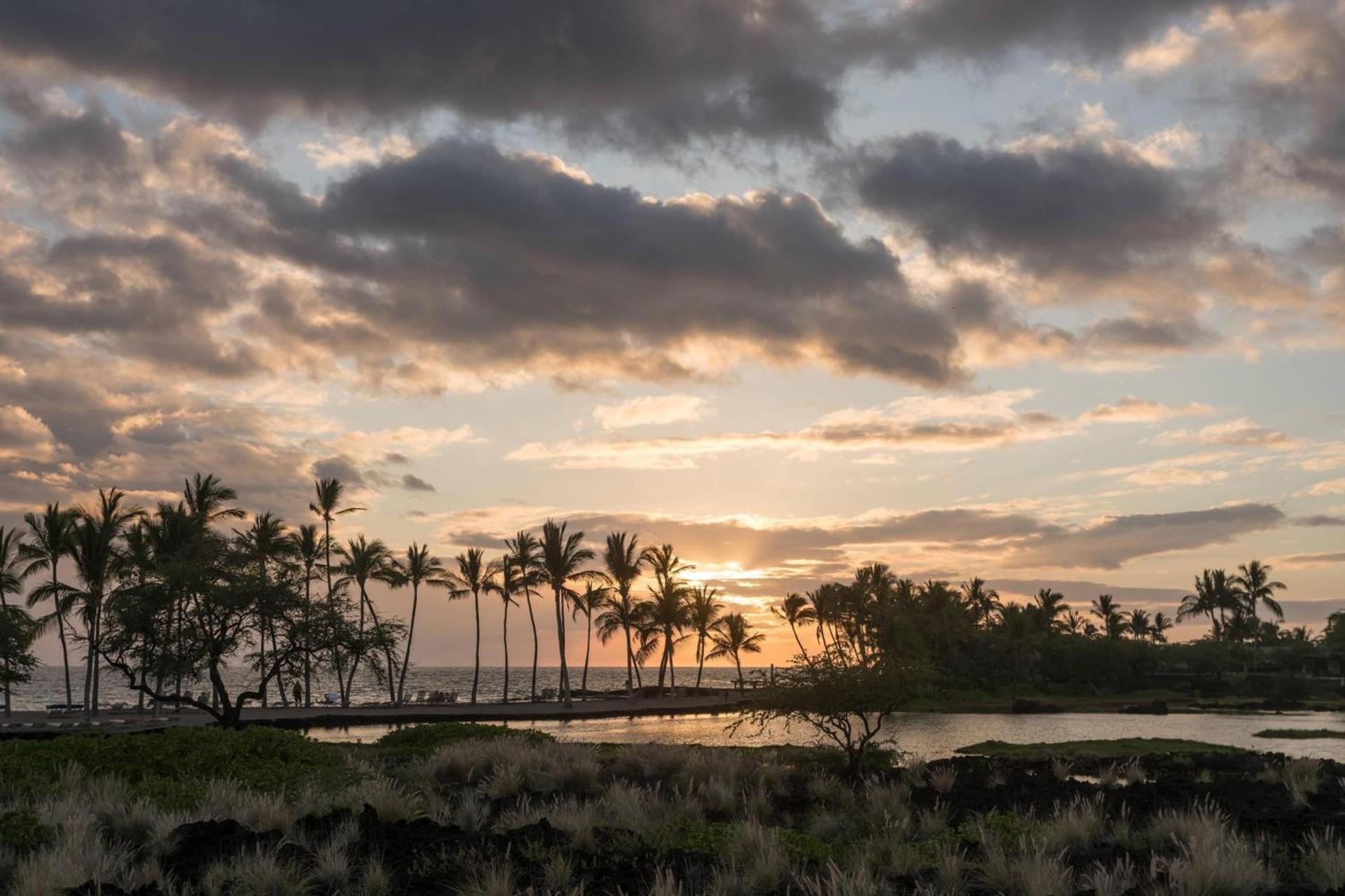 Waikoloa Beach Marriott Resort & Spa photo 83