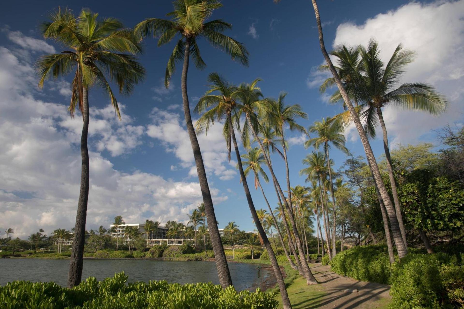 Waikoloa Beach Marriott Resort & Spa photo 84