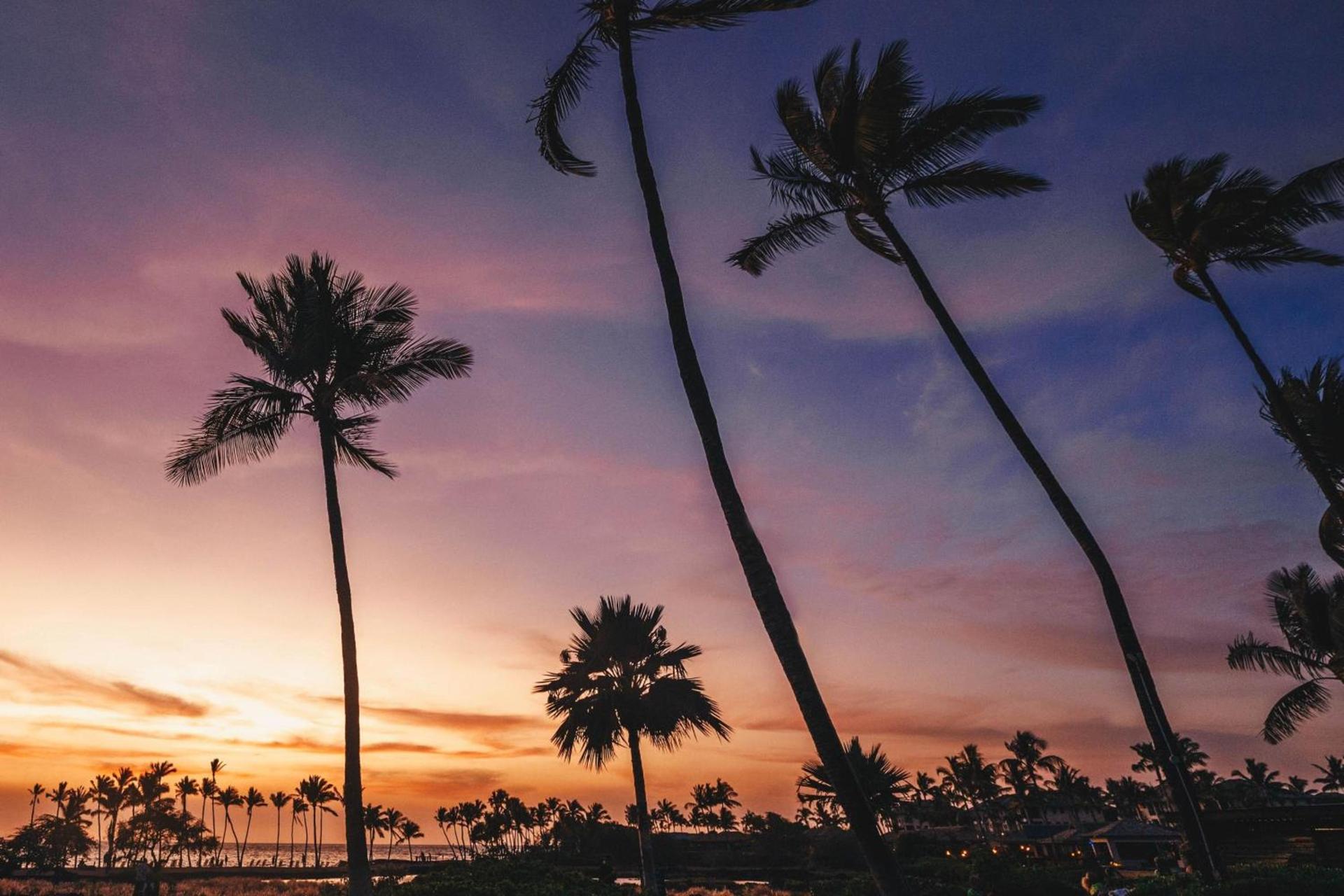 Waikoloa Beach Marriott Resort & Spa photo 8