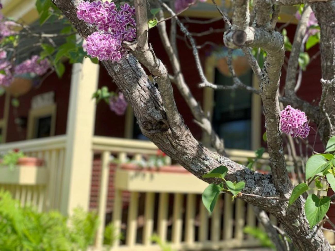 Central House Inn photo 29