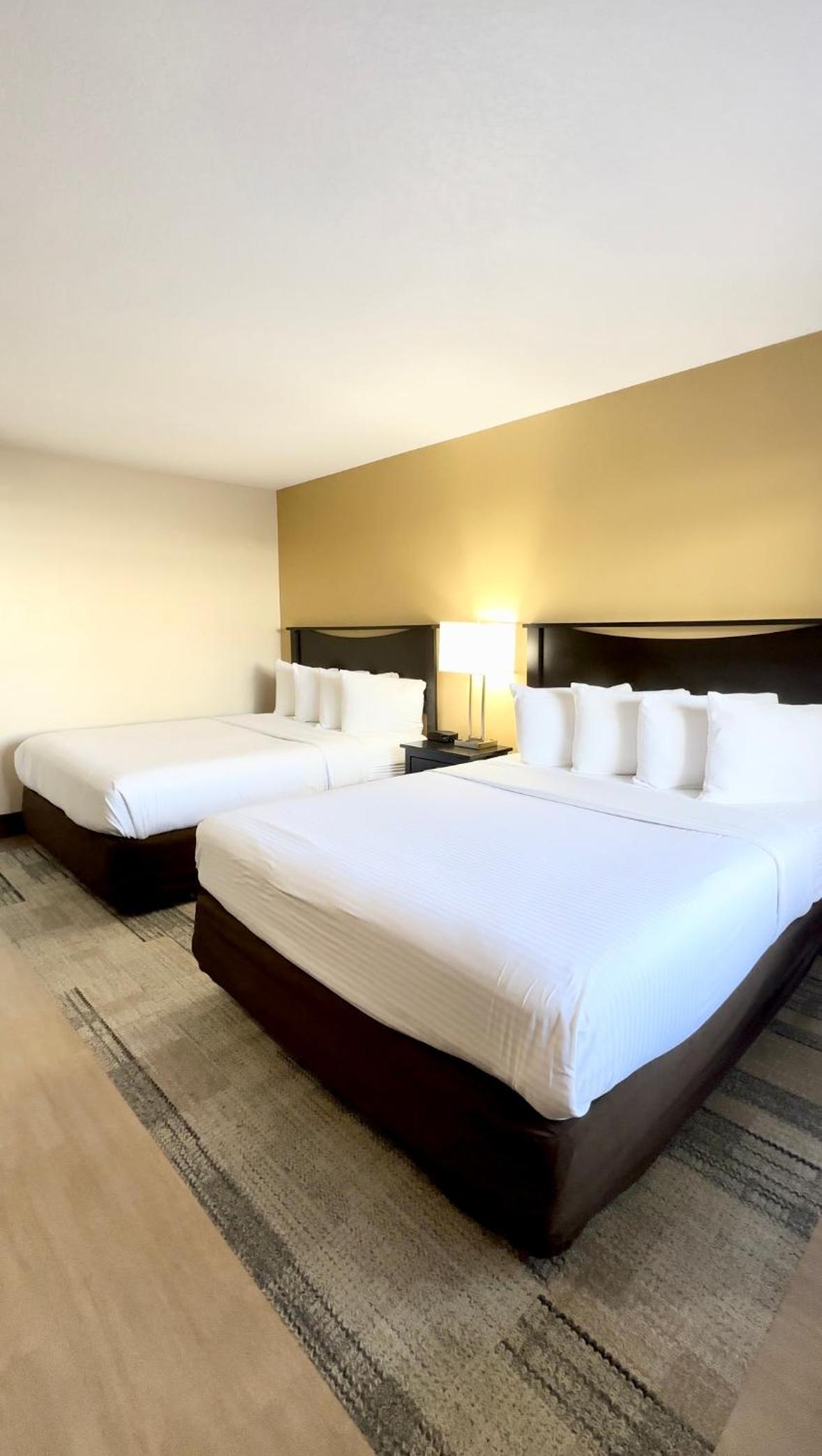 Stanford Inn & Suites Anaheim photo 23