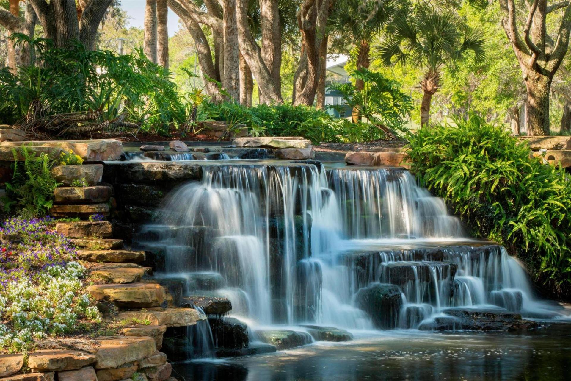 Sawgrass Marriott Golf Resort & Spa photo 12