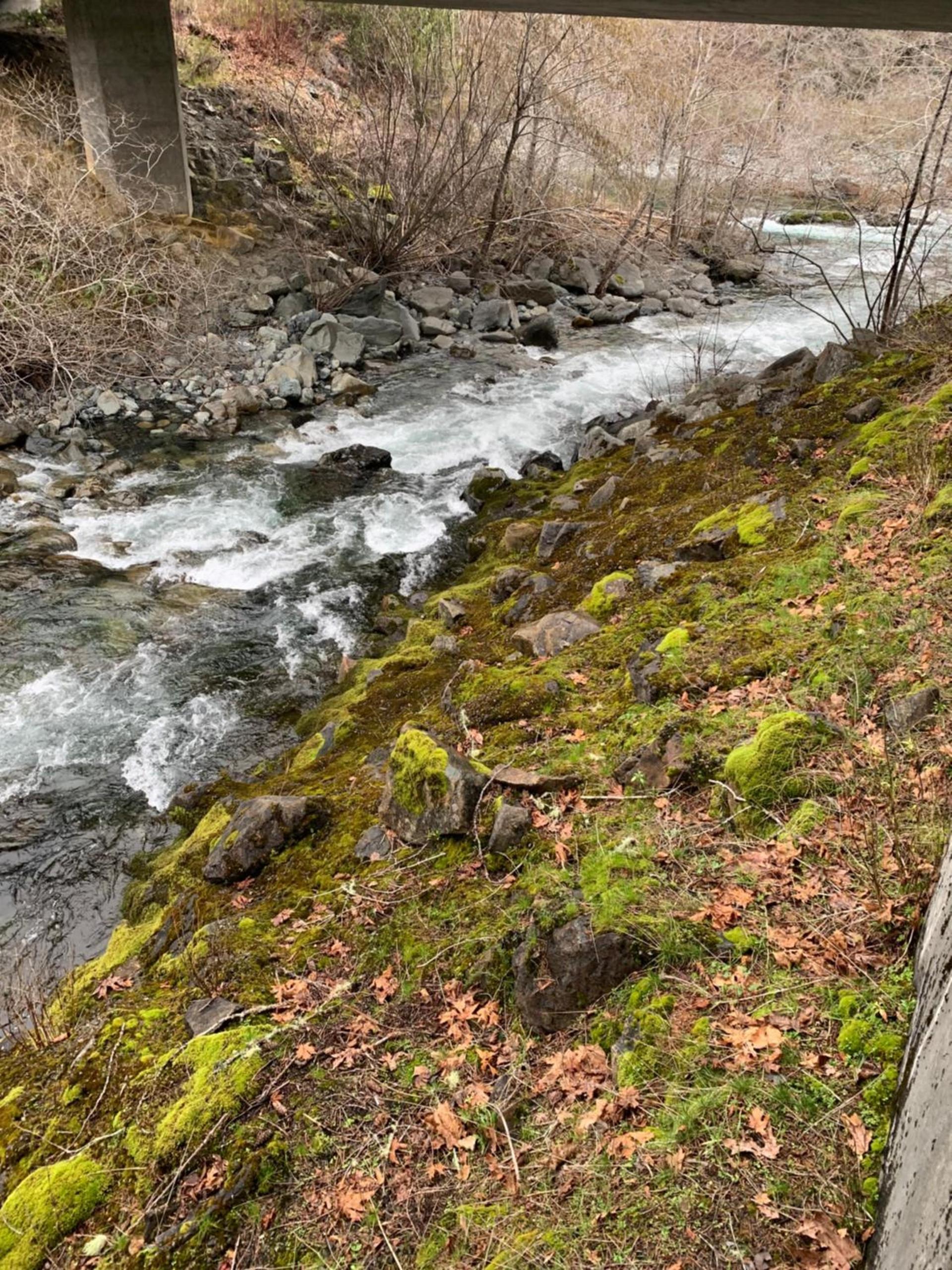 Patrick Creek Lodge photo 31