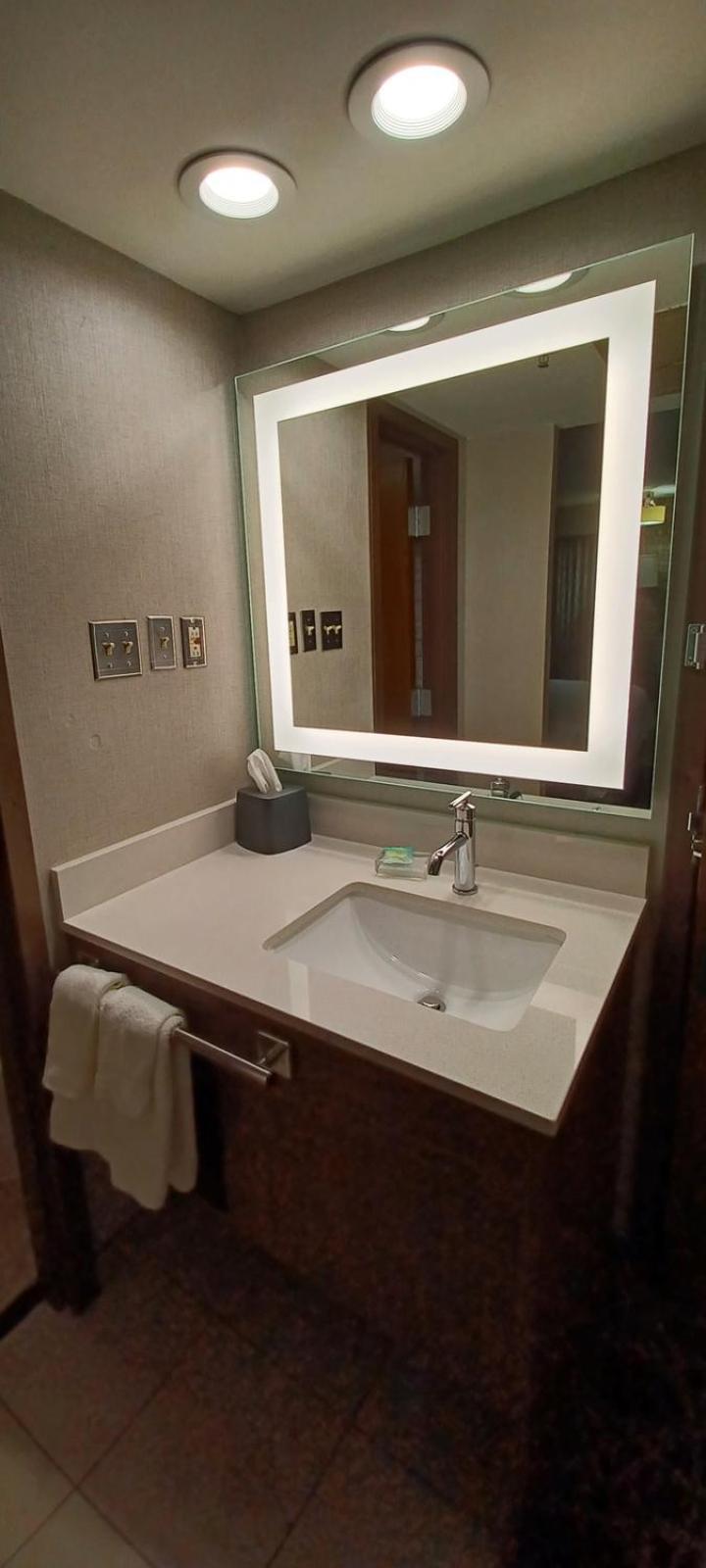 Holiday Inn - McAllen - Medical Center Area by IHG photo 25