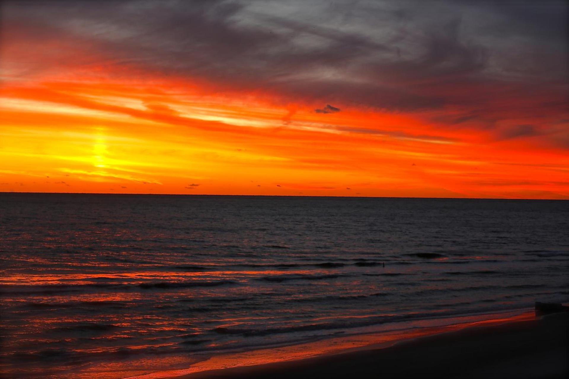 Shoreline Island Resort - Exclusively Adult photo 24