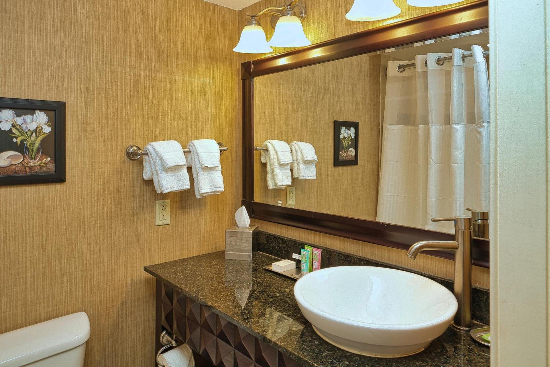 Wyndham Grand Pittsburgh photo 68