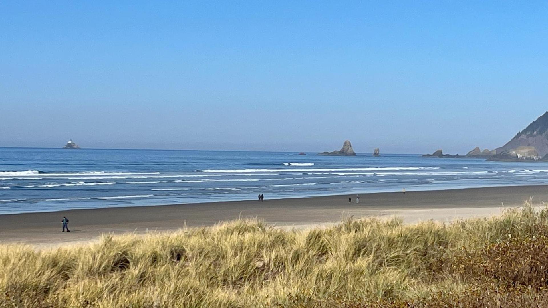 Surfsand Resort photo 19