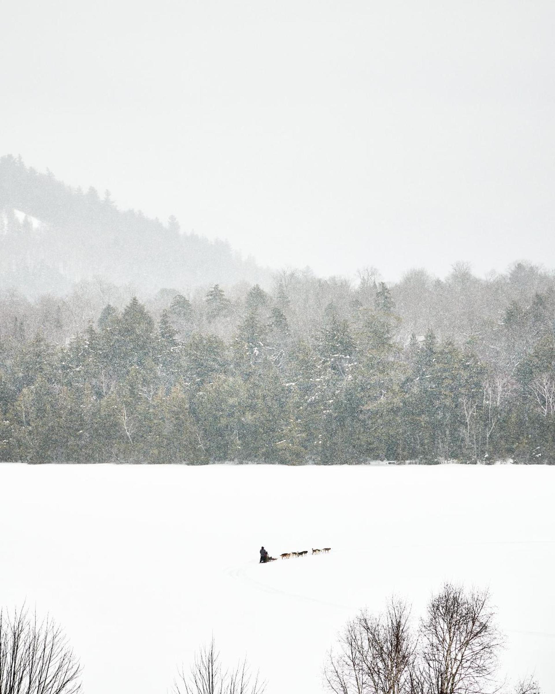Laurel Lake Placid photo 12