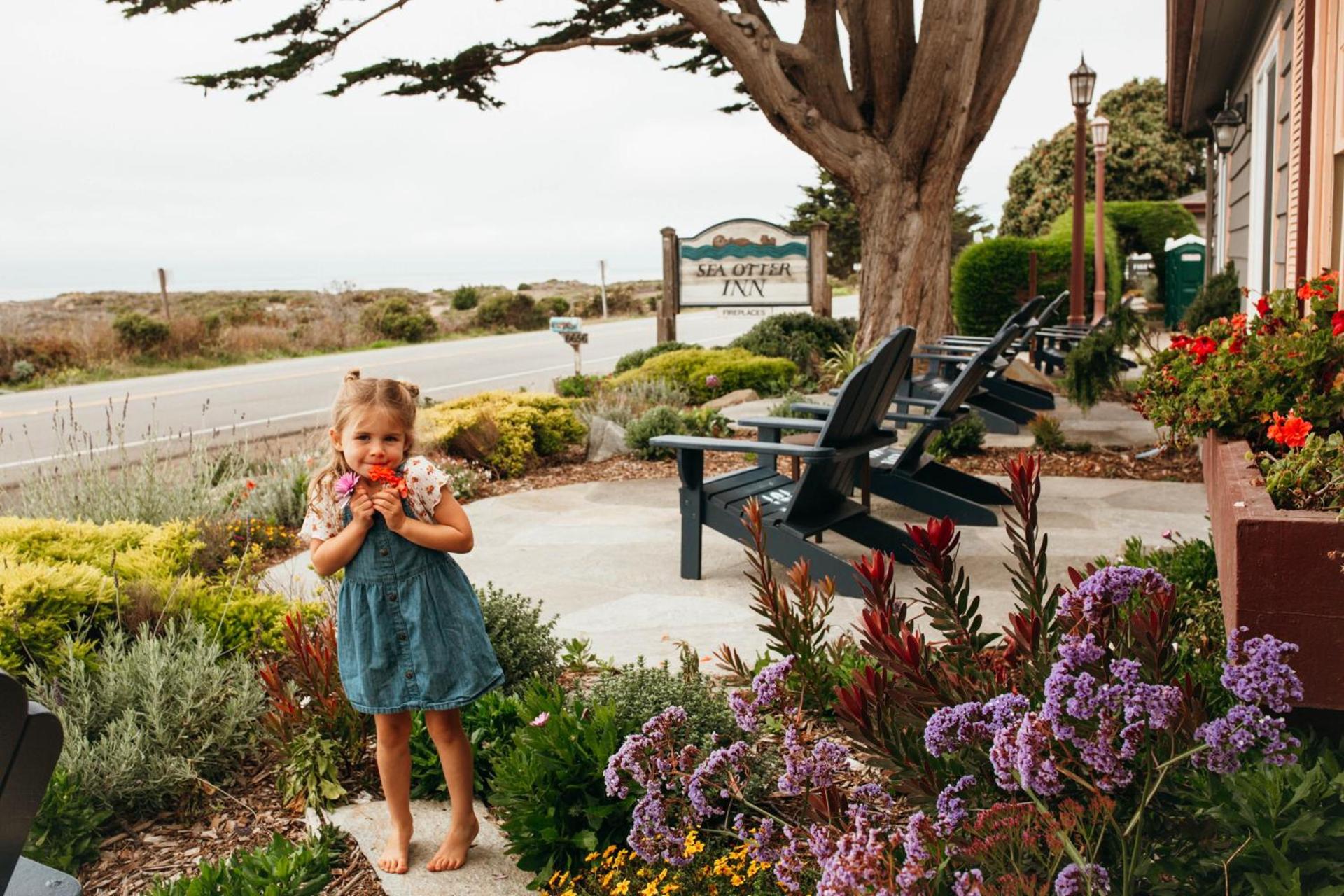 Sea Otter Inn photo 44