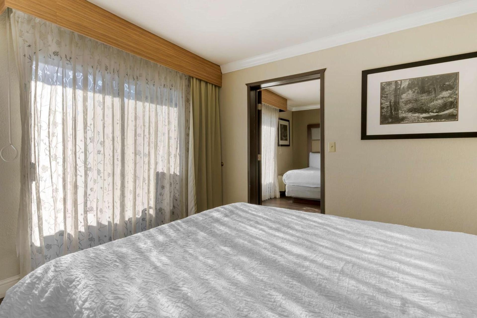 Best Western Plus Forest Park Inn photo 25