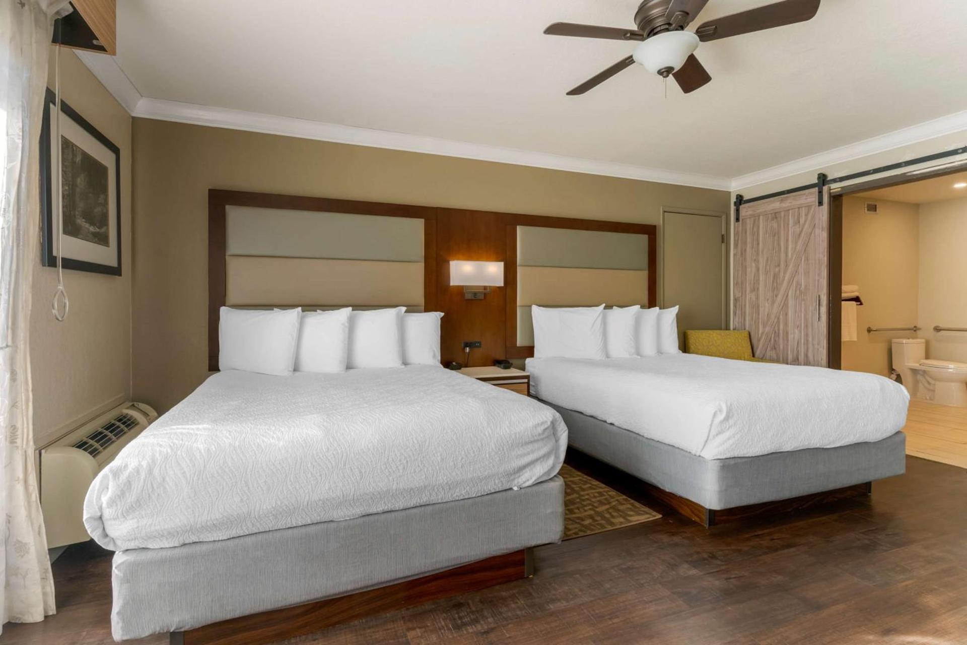 Best Western Plus Forest Park Inn photo 9