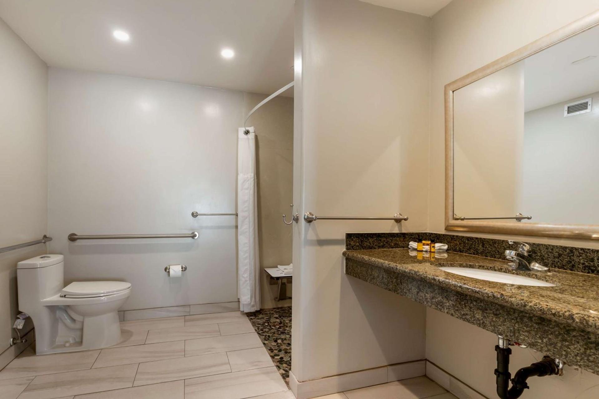 Best Western Plus Forest Park Inn photo 51
