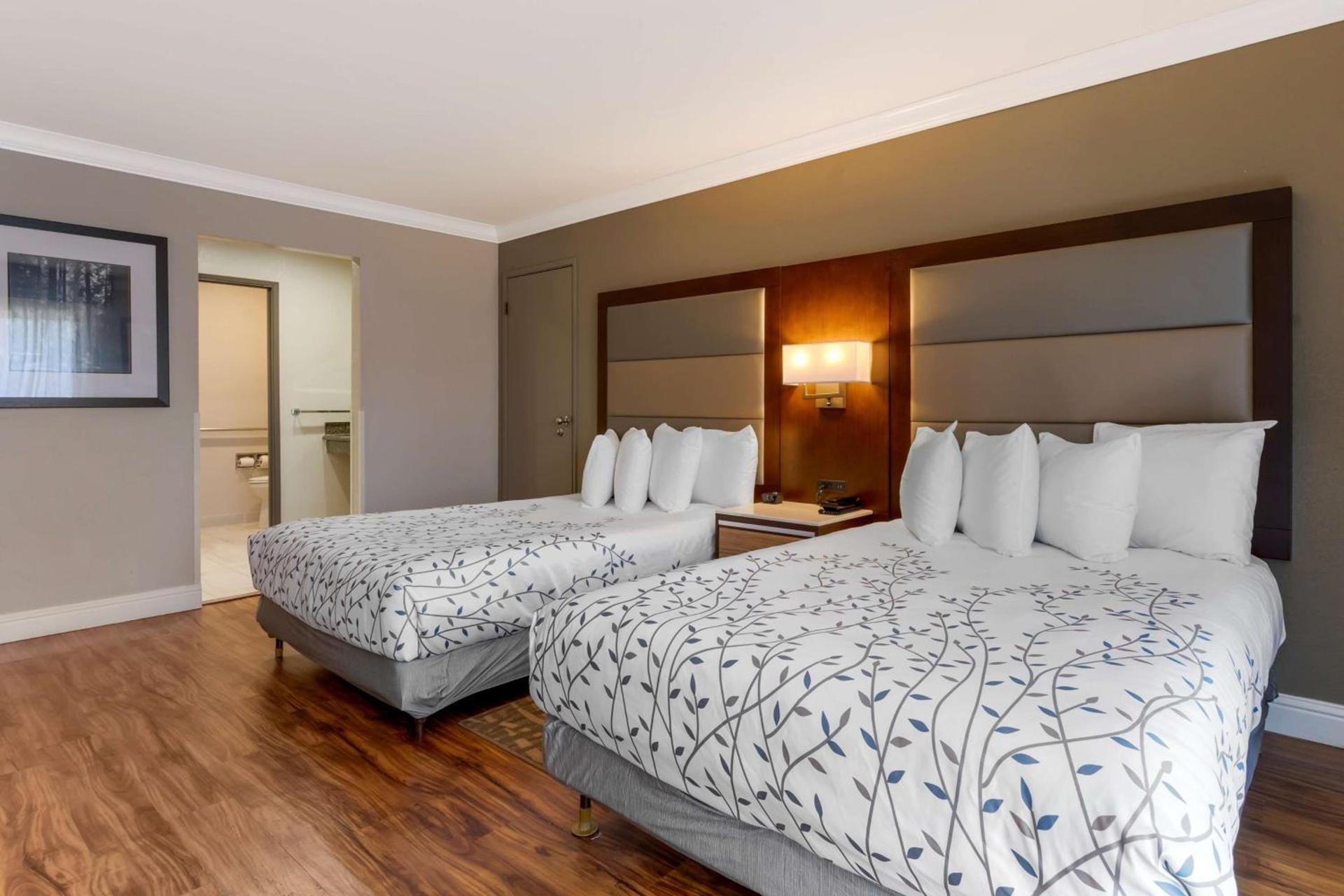 Best Western Plus Forest Park Inn photo 33