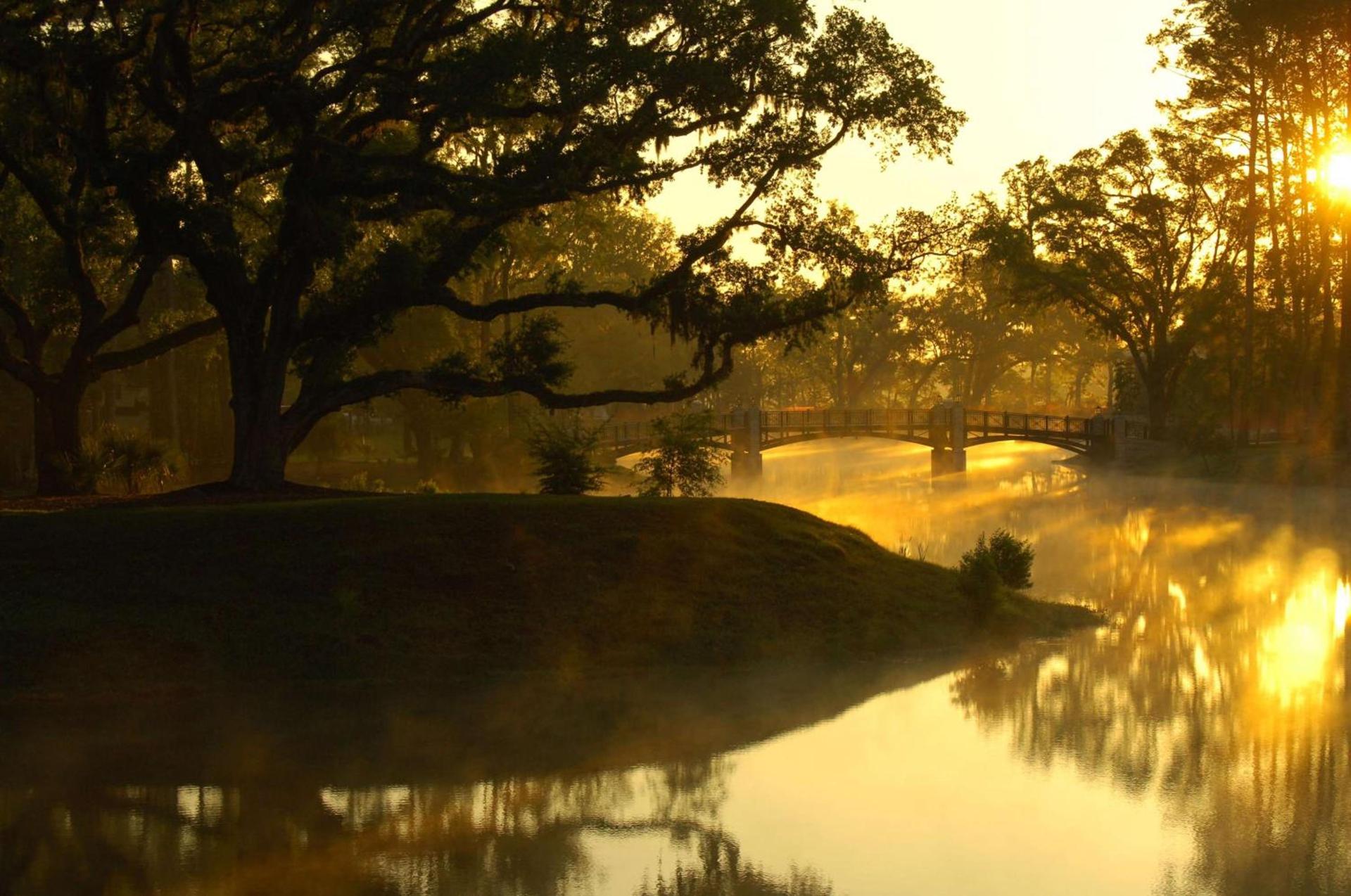 Montage Palmetto Bluff photo 33