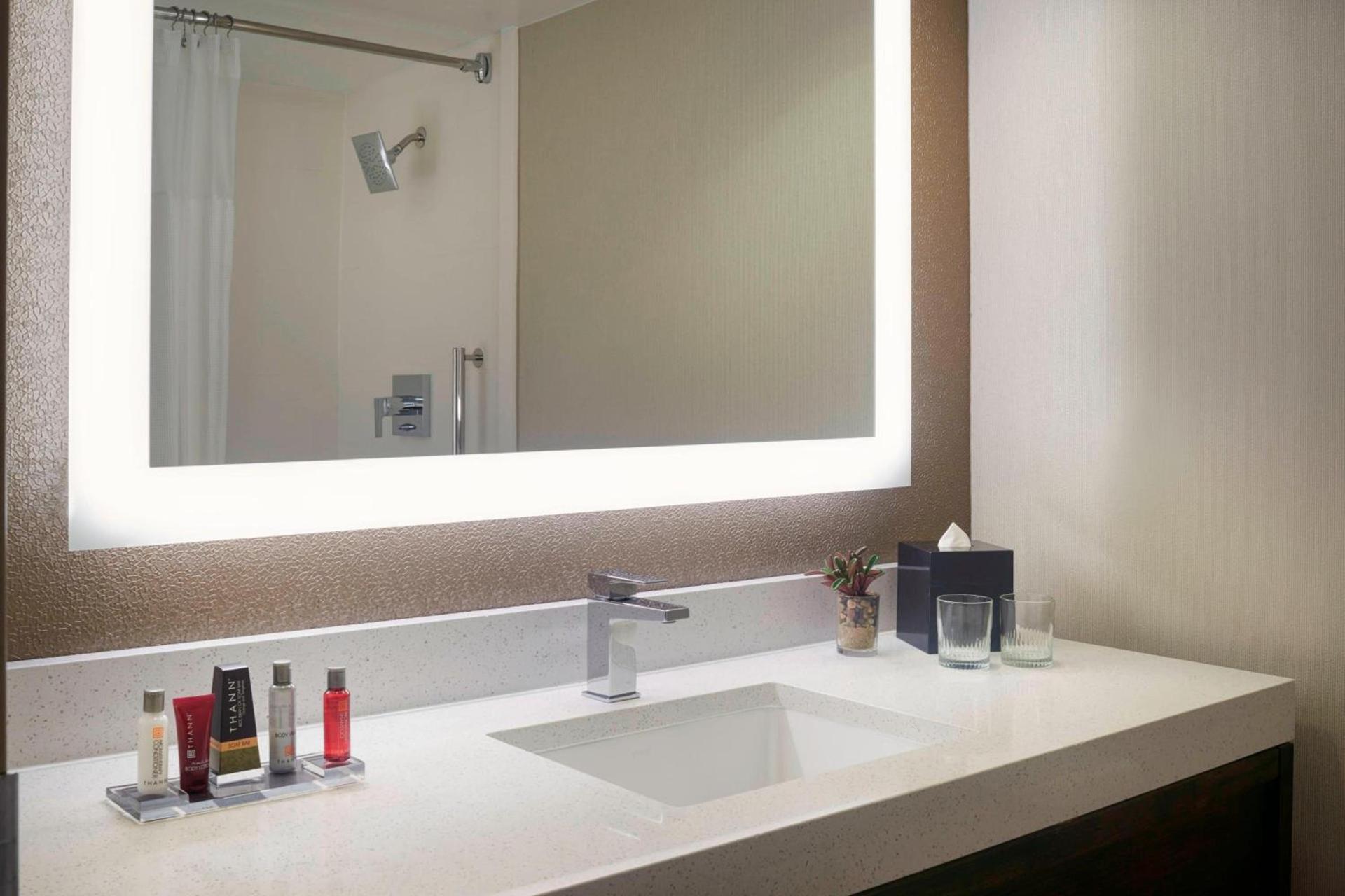 Chicago Marriott Southwest at Burr Ridge photo 13