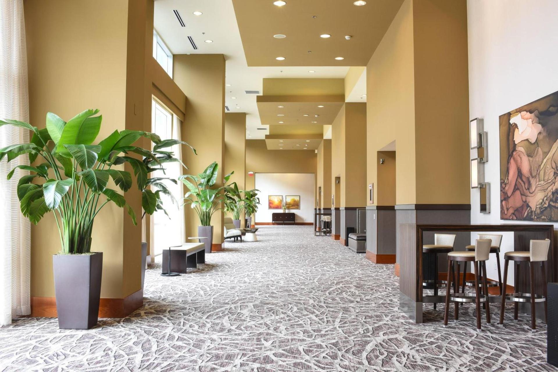 Raleigh Marriott City Center photo 32